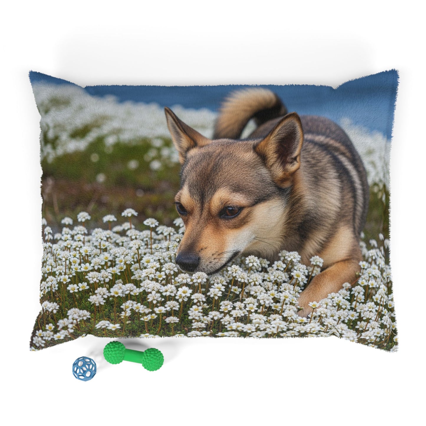 Norwegian Lundehund Pet Bed