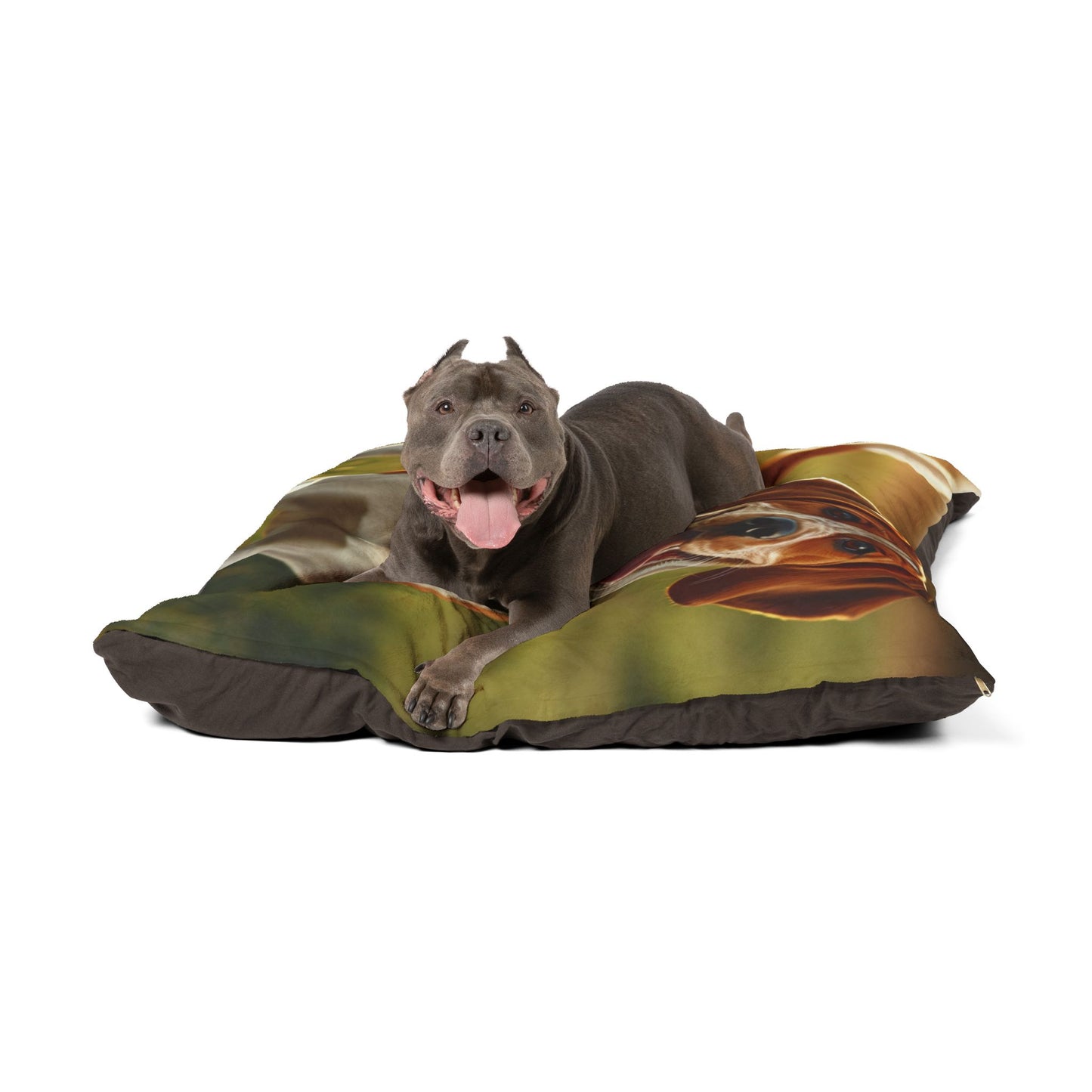 Bracco Italiano Pet Bed