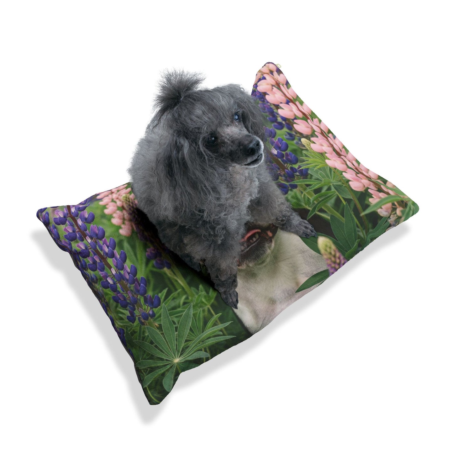 Boston Terrier Pet Bed