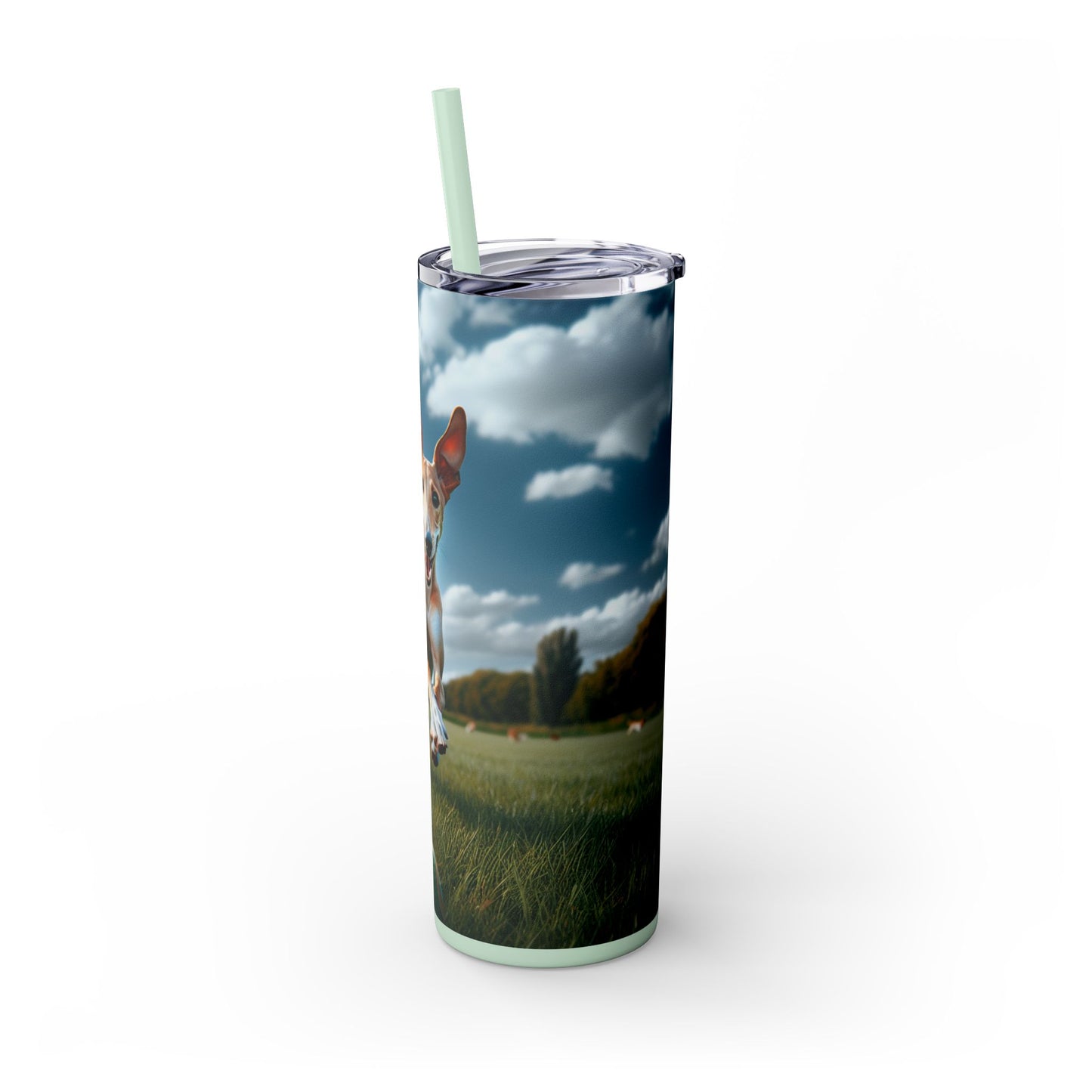 Ibizan Hound Tumbler with Straw, 20oz
