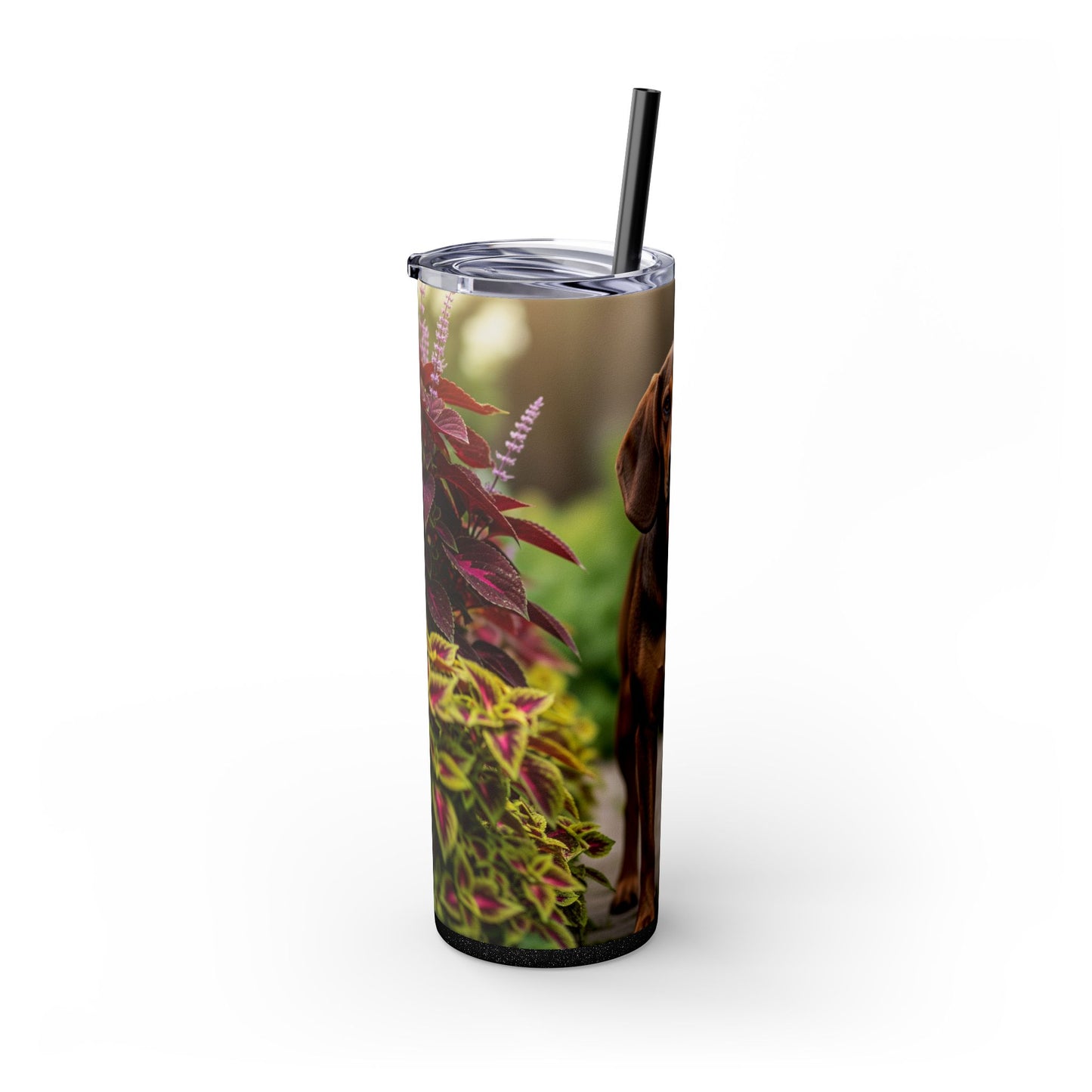 Hamiltonstovare Tumbler with Straw, 20oz