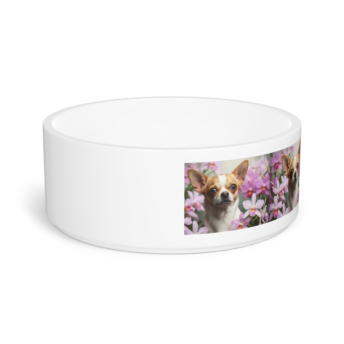 Chihuahua Pet Bowl