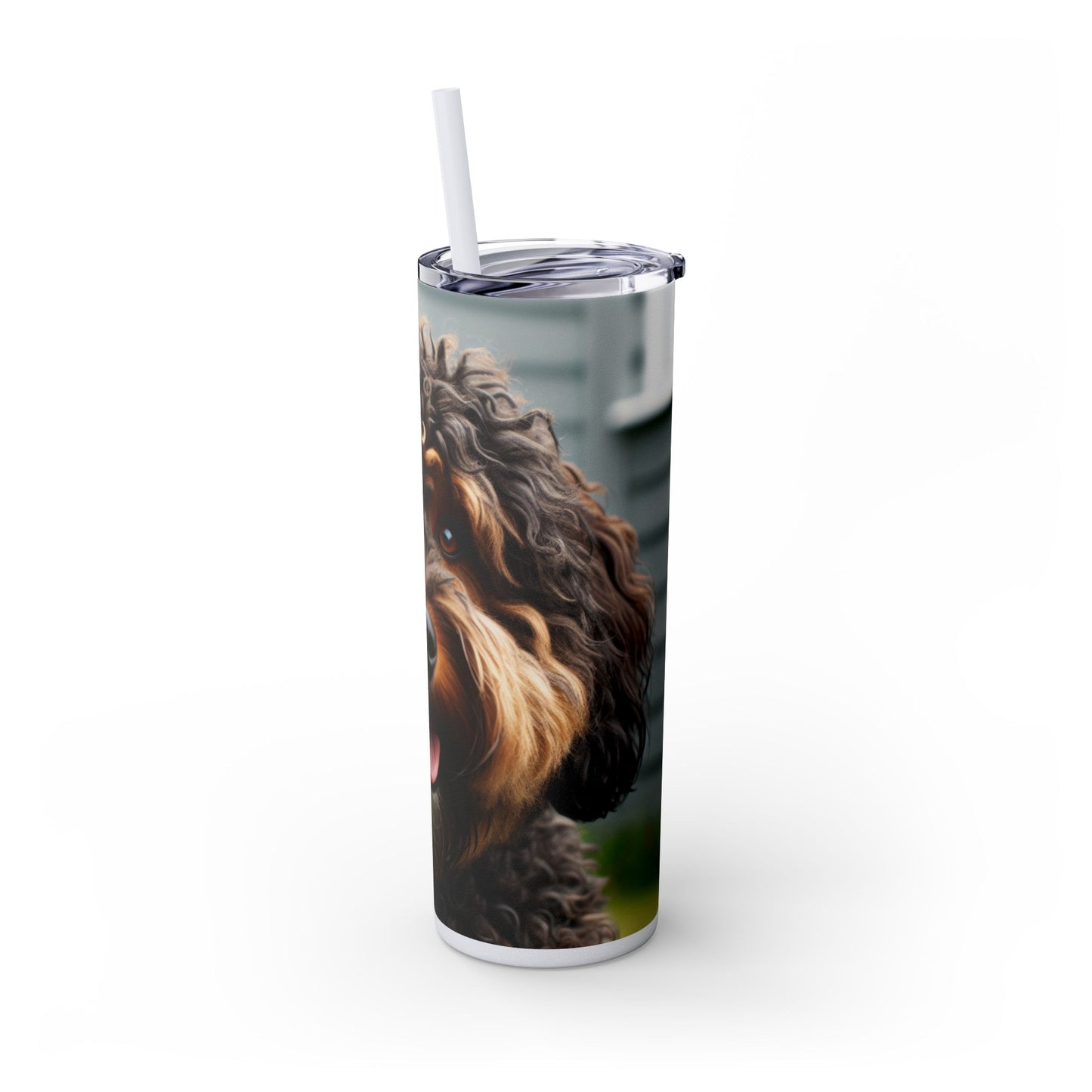 Barbet Tumbler with Straw, 20oz