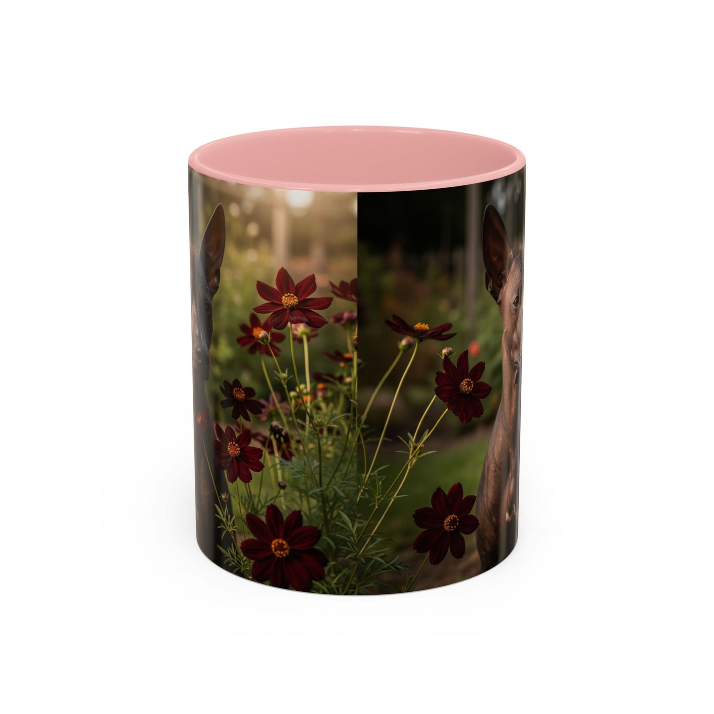 Xoloitzcuintli Accent Coffee Mug - Perfect Gift for Dog Lovers