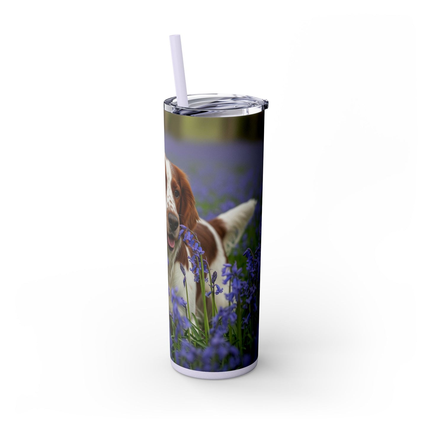 Welsh Springer Spaniel Skinny Tumbler with Straw, 20oz
