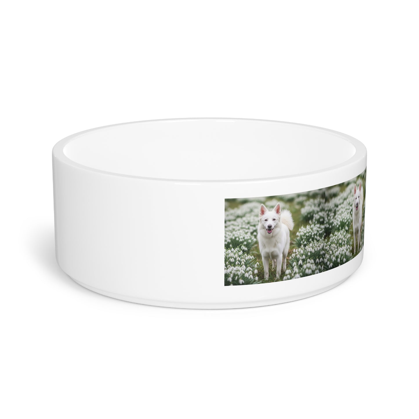 Volpino Italiano Pet Bowl