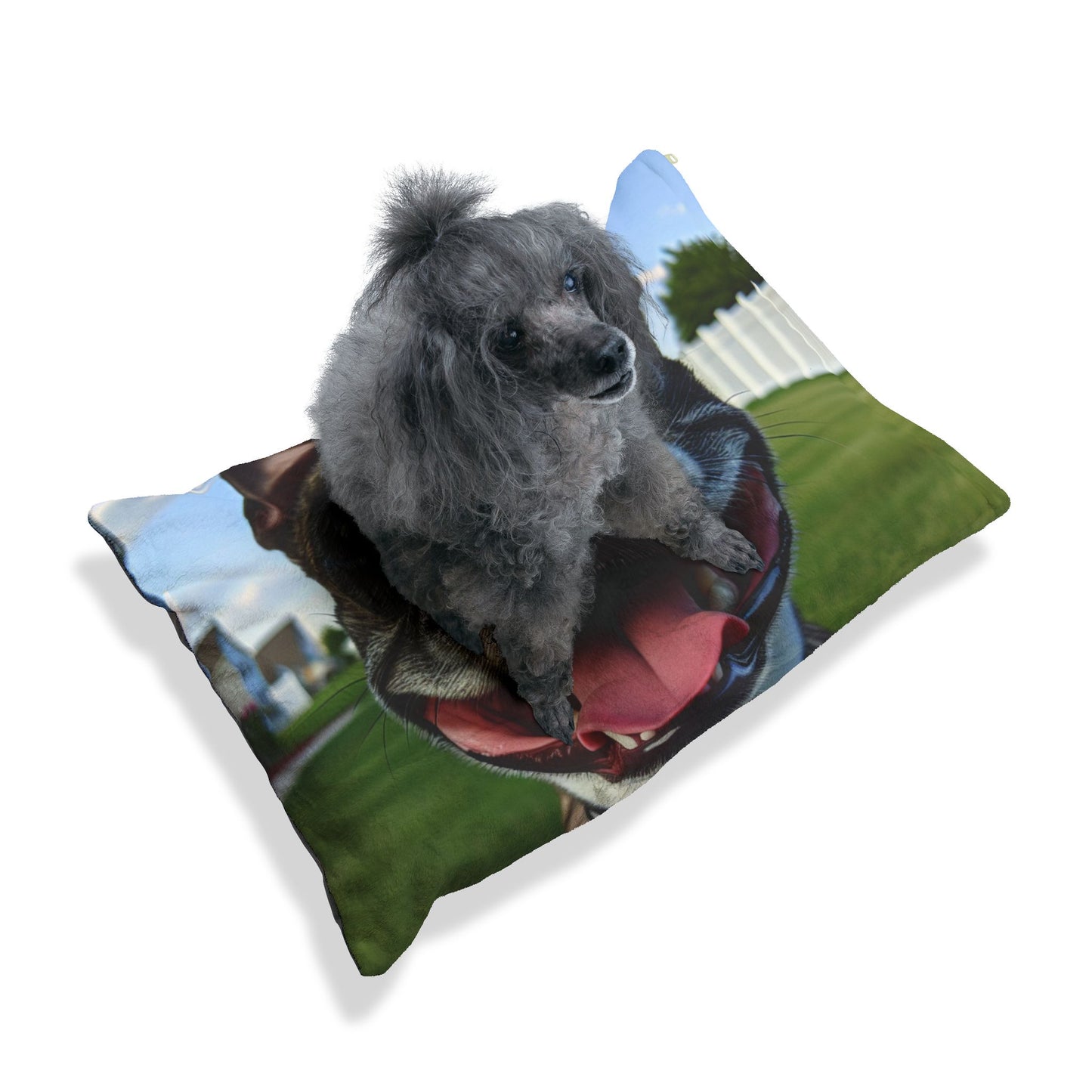 Boston Terrier Pet Bed