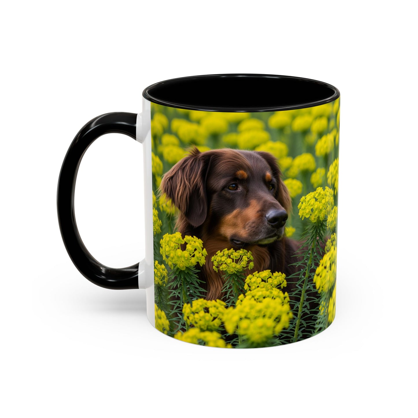 Hovawart Accent Coffee Mug - Perfect Gift for Dog Lovers