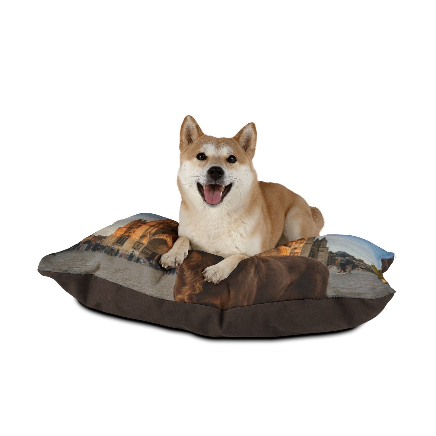 Pont-Audemer Spaniel Pet Bed