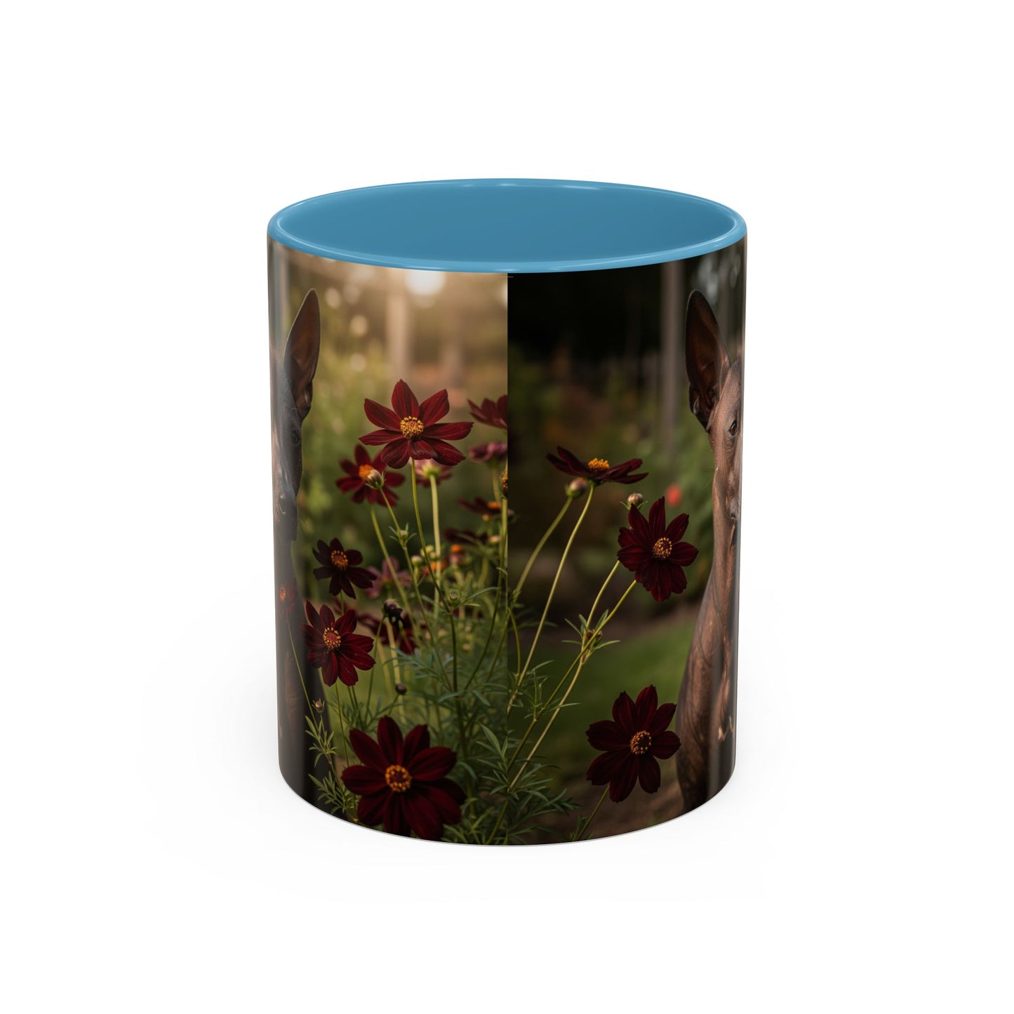 Xoloitzcuintli Accent Coffee Mug - Perfect Gift for Dog Lovers