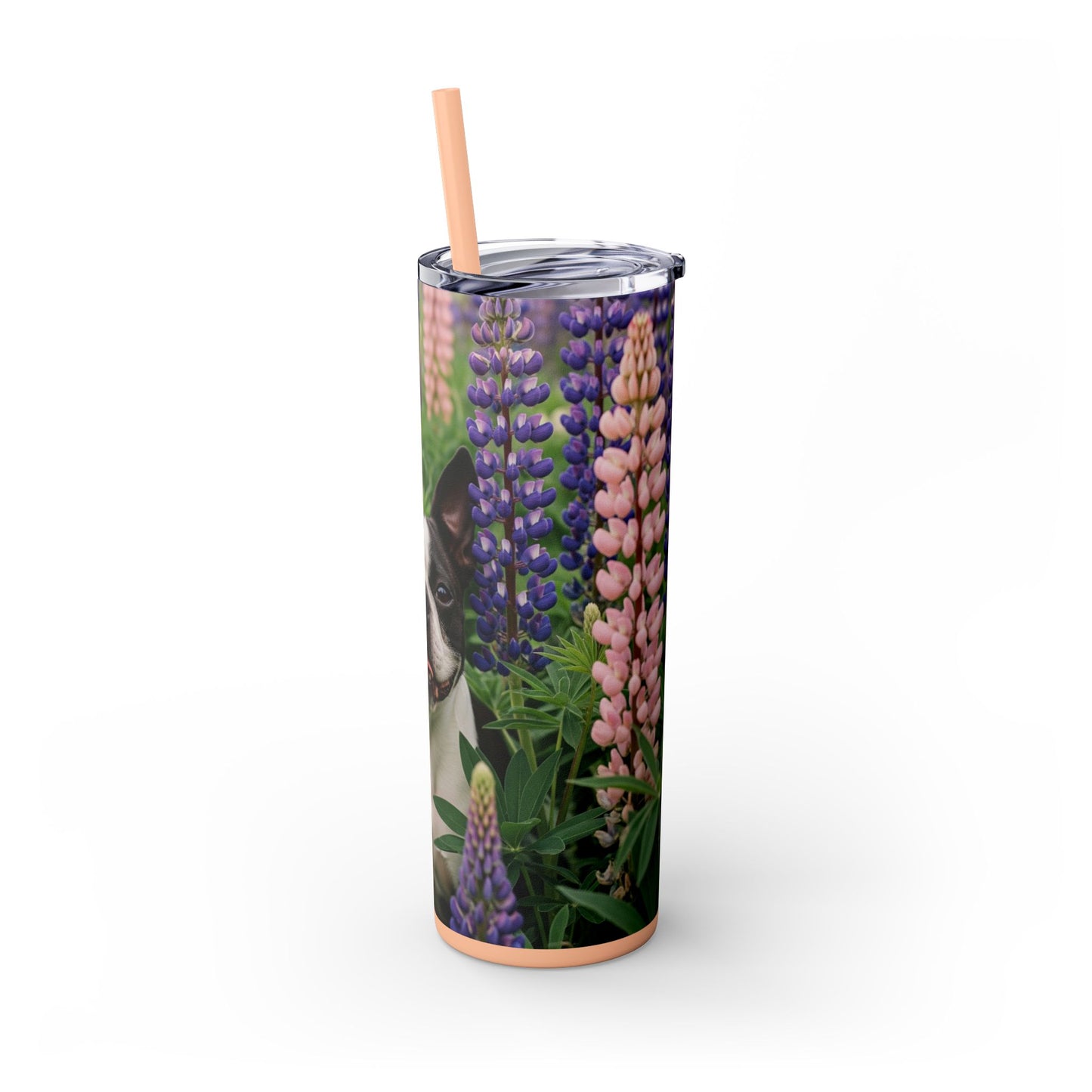 Boston Terrier Tumbler with Straw, 20oz