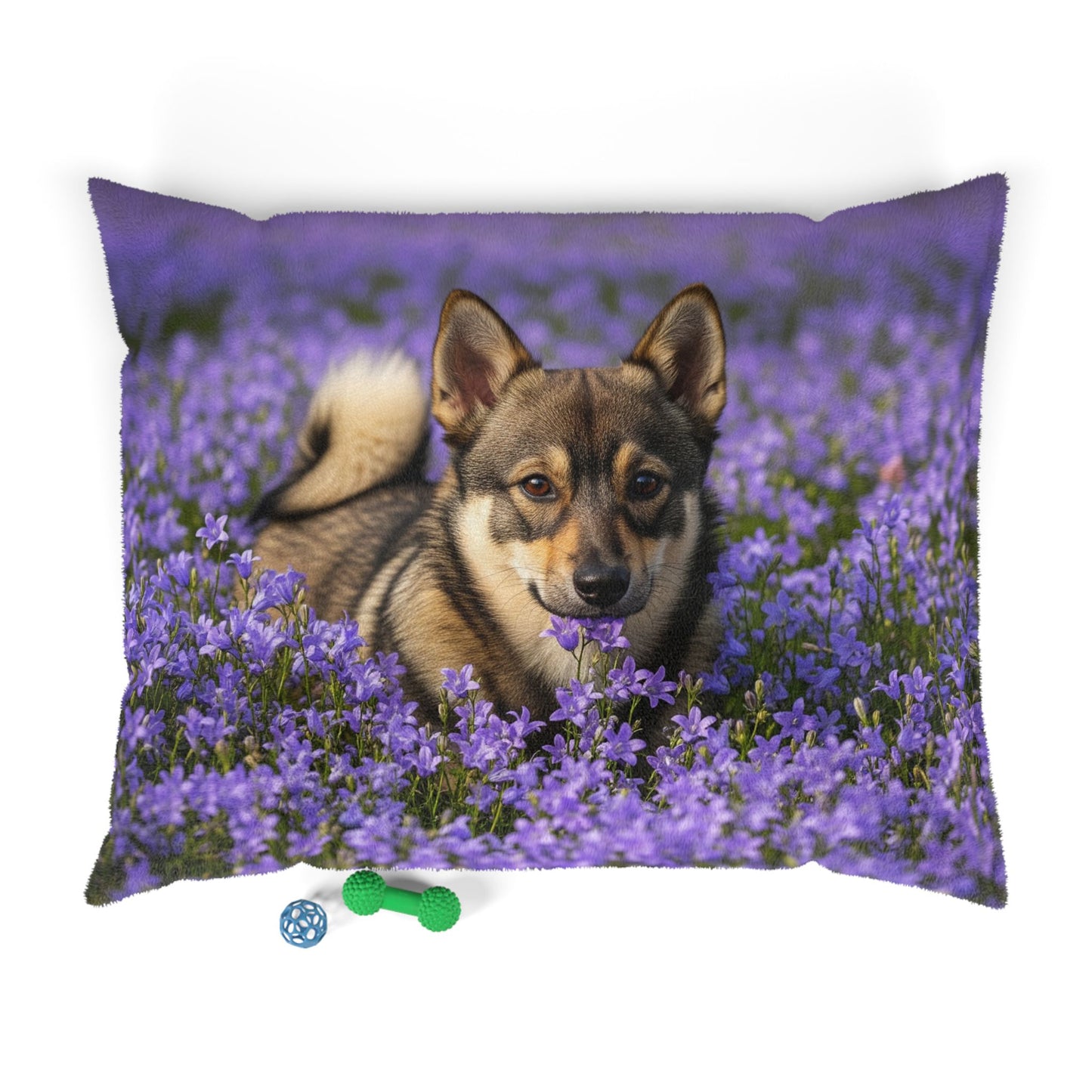 Swedish Vallhund Pet Bed