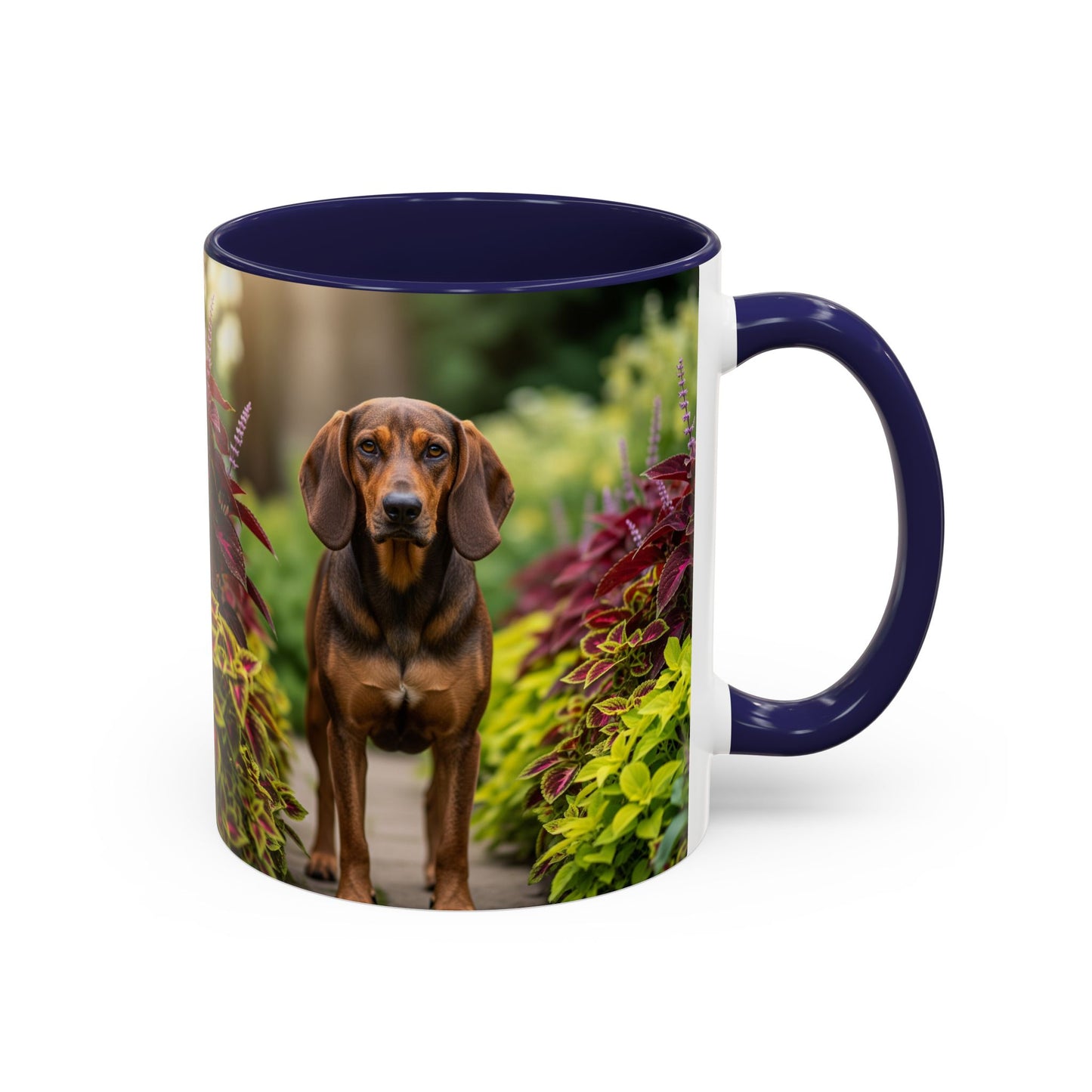 Hamiltonstovare Accent Coffee Mug - Perfect Gift for Dog Lovers