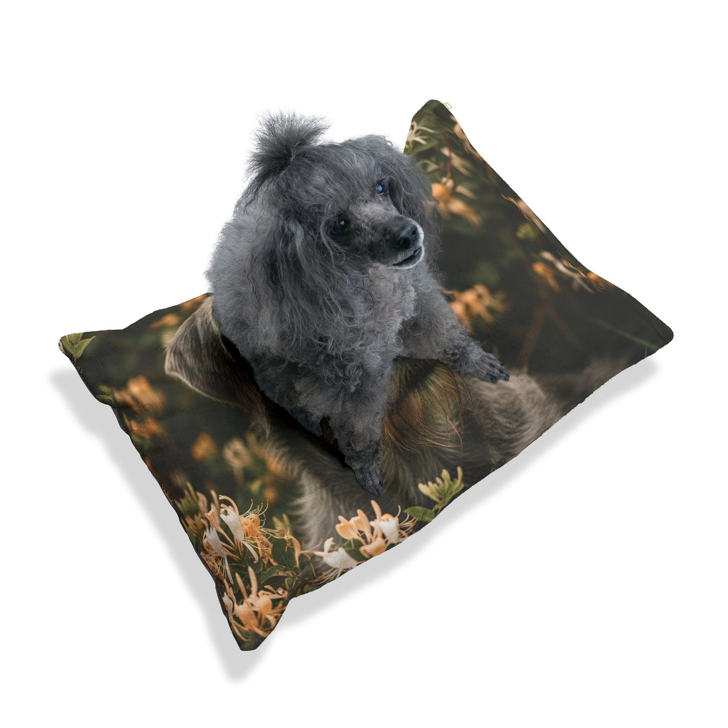 Otterhound Pet Bed