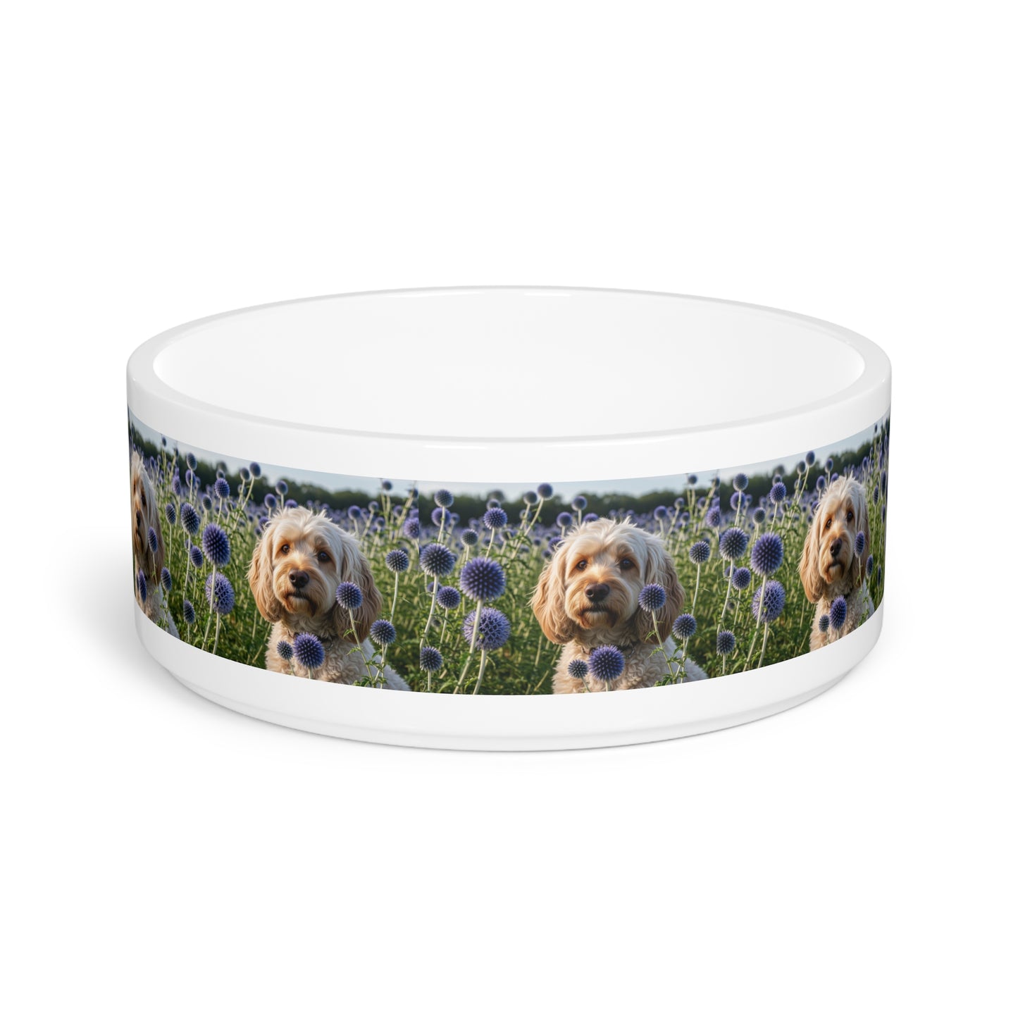 Spoodle Pet Bowl
