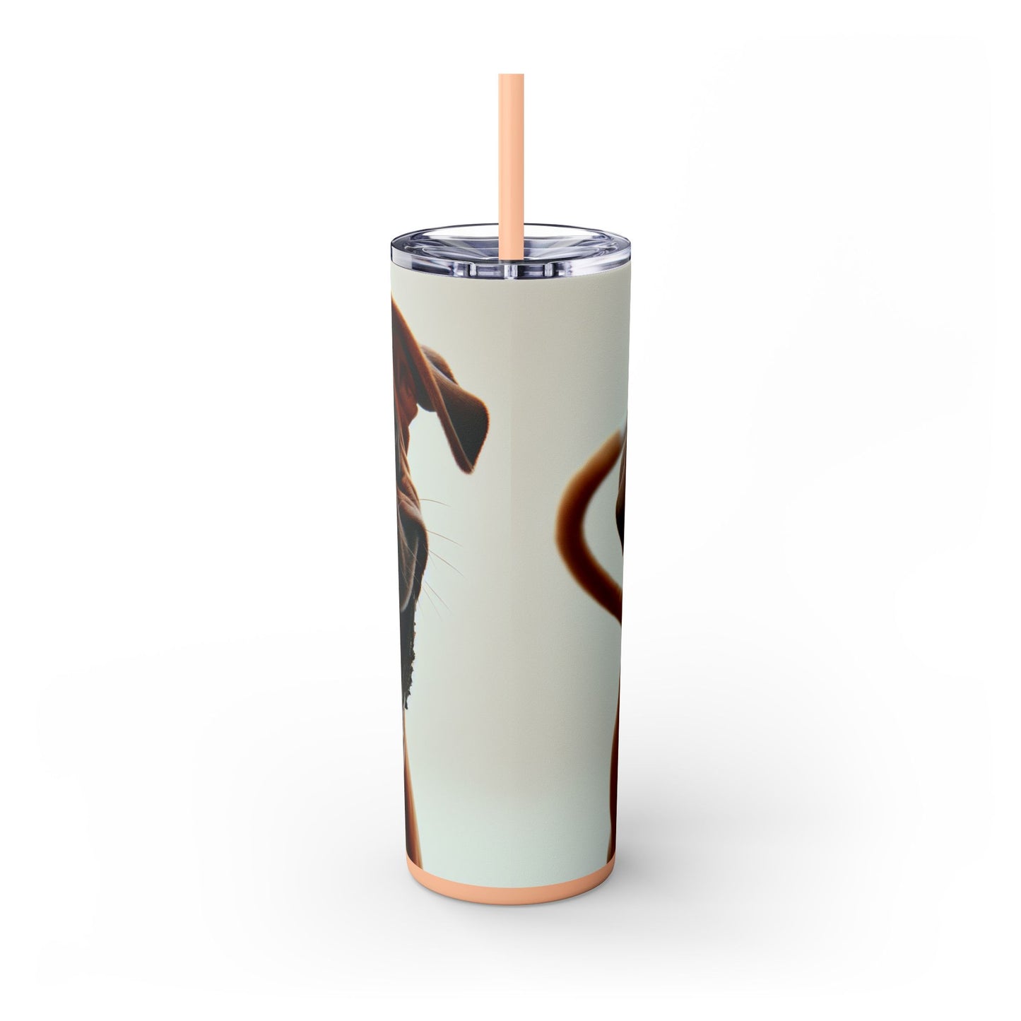 Boxer Skinny Tumbler with Straw, 20oz
