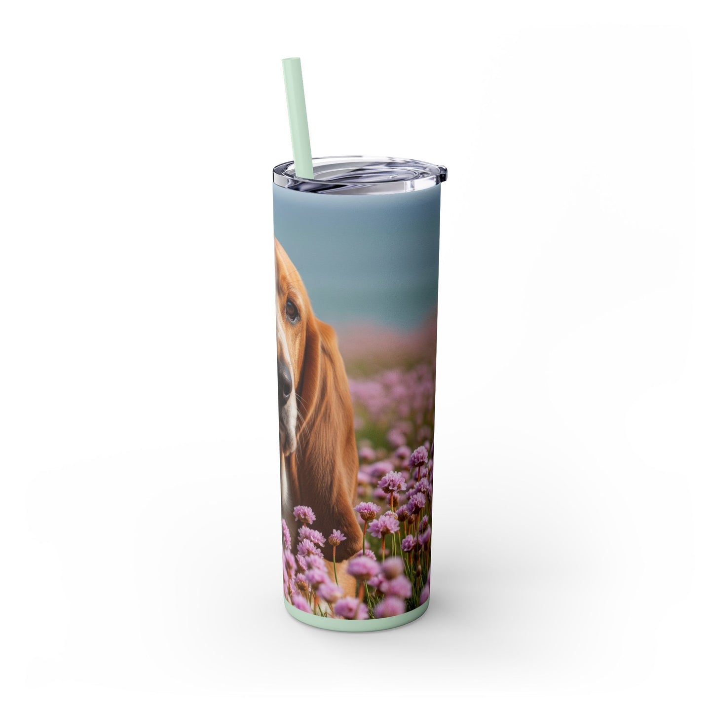 Basset Fauve de Bretagne Skinny Tumbler with Straw, 20oz