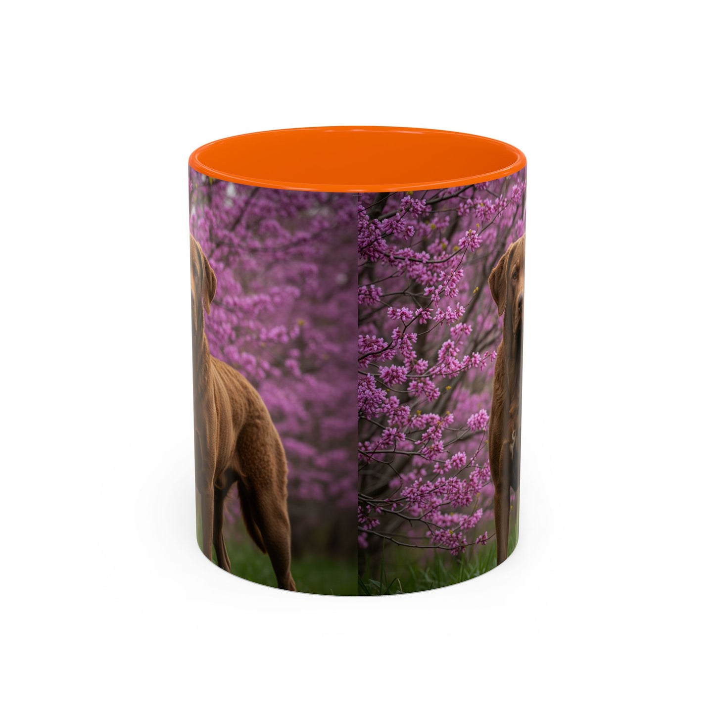 Chesapeake Bay Retriever Accent Coffee Mug - Perfect Gift for Dog Lovers
