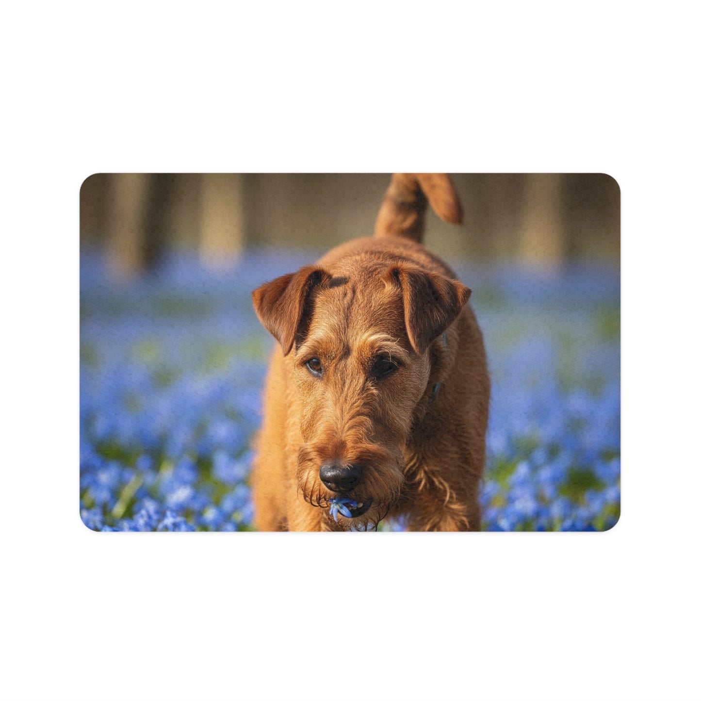 Pet Food Mat (12x18) - Irish Terrier