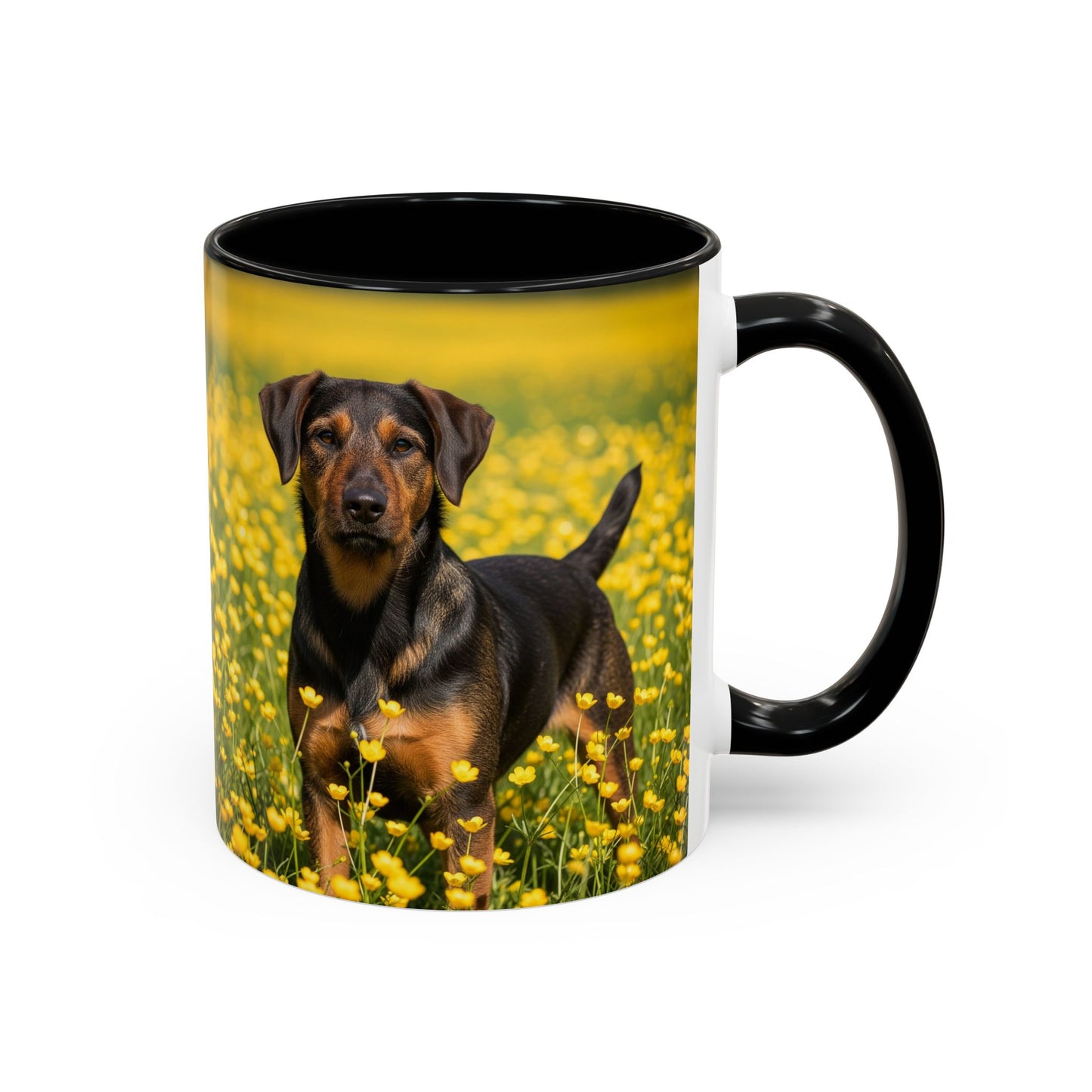 Drever Accent Coffee Mug - Perfect Gift for Dog Lovers