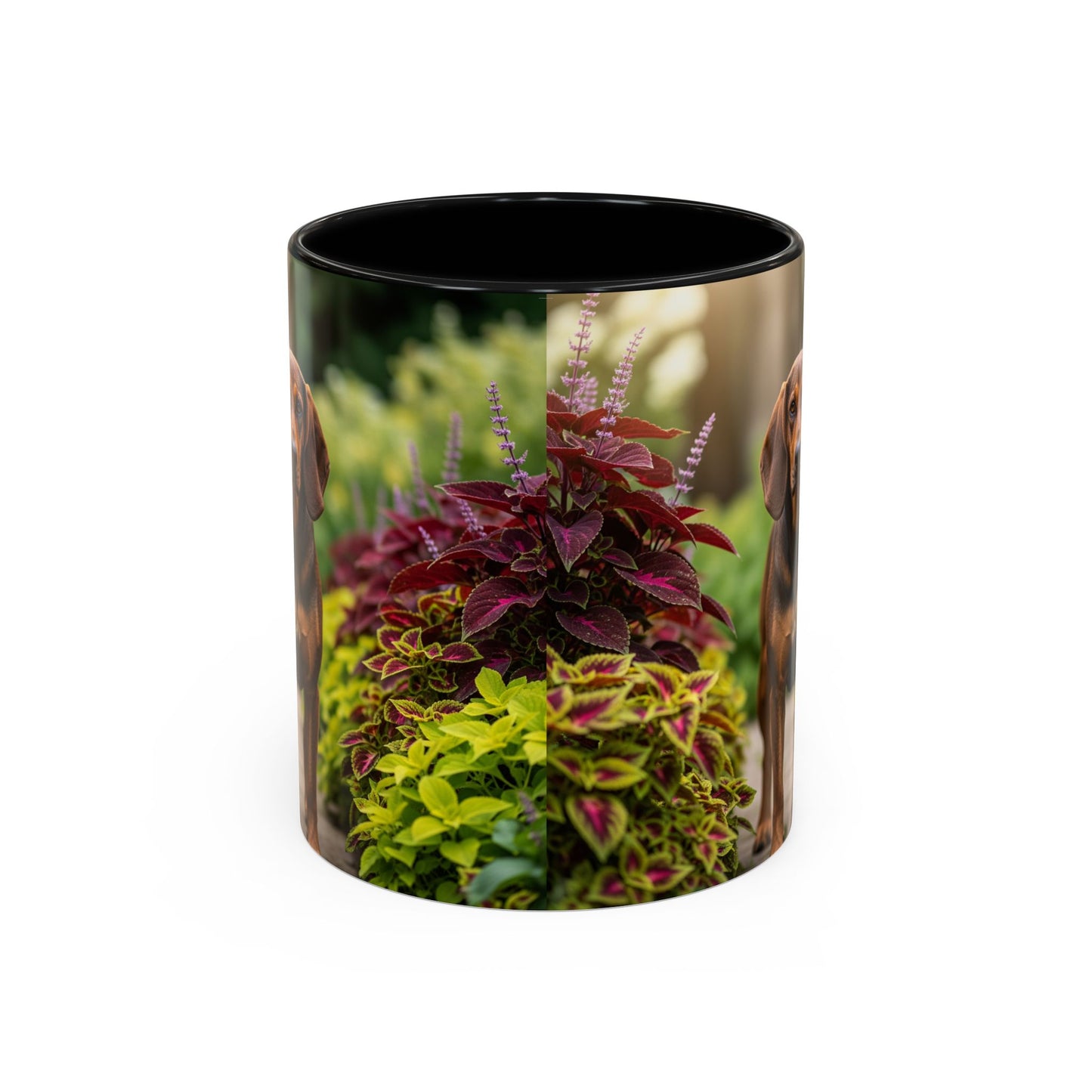 Hamiltonstovare Accent Coffee Mug - Perfect Gift for Dog Lovers