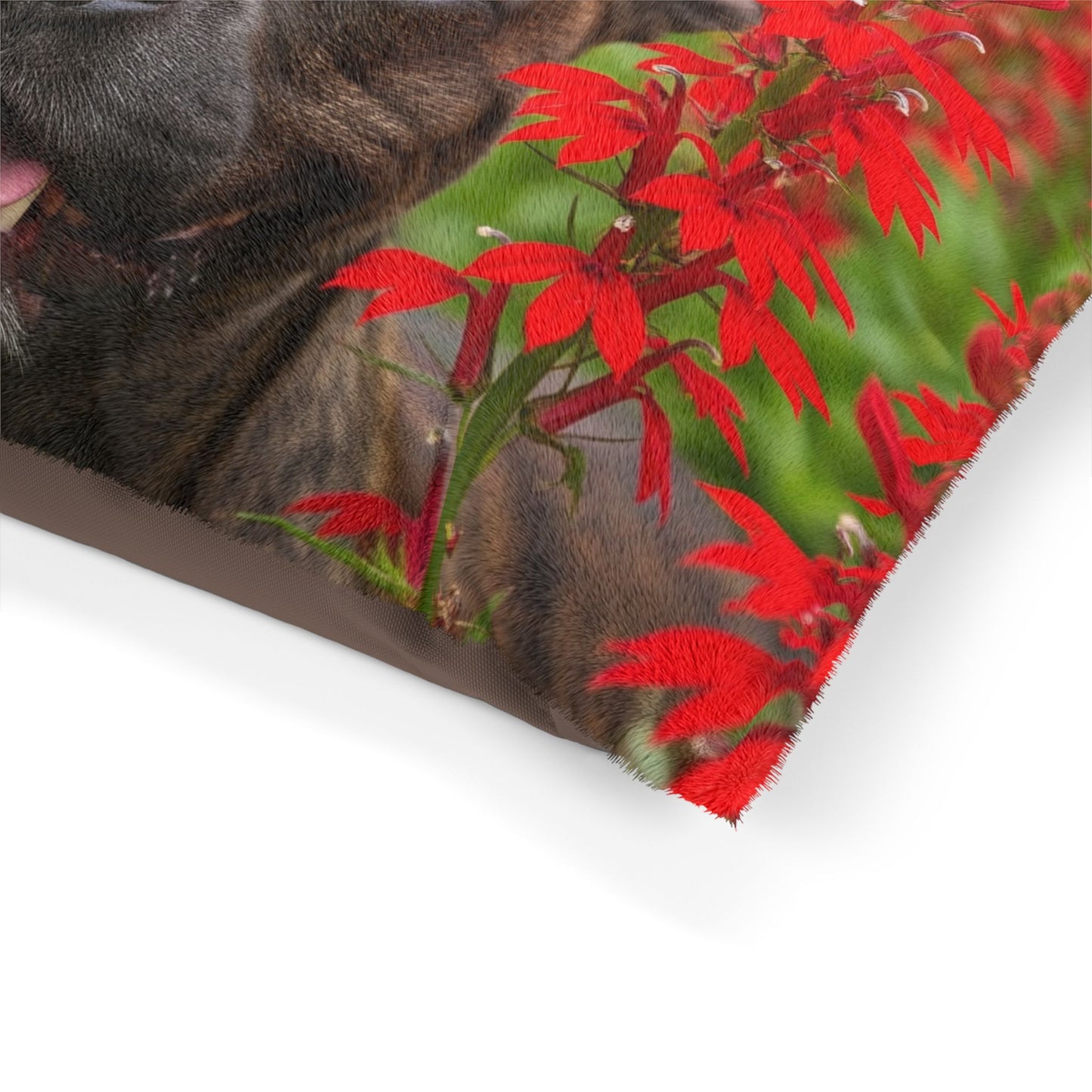 Frenchton Pet Bed
