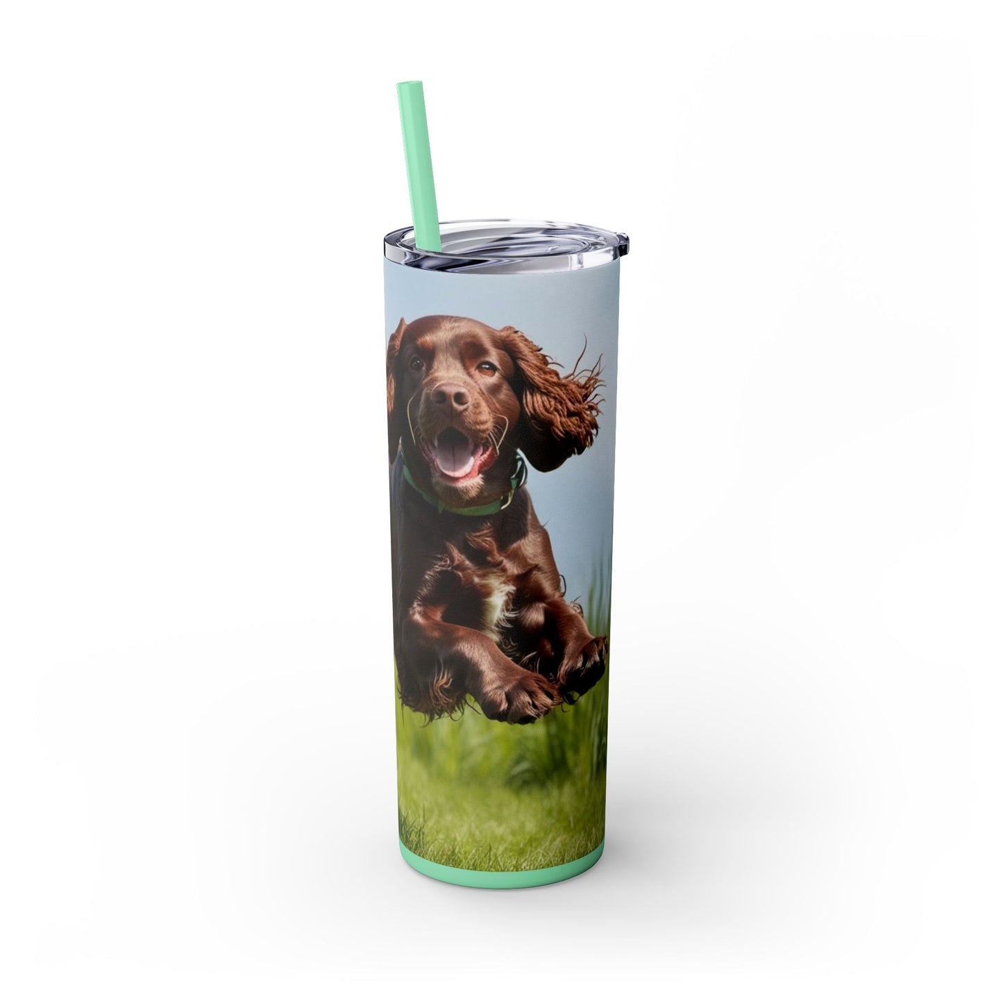 Irish Water Spaniel Tumbler with Straw, 20oz