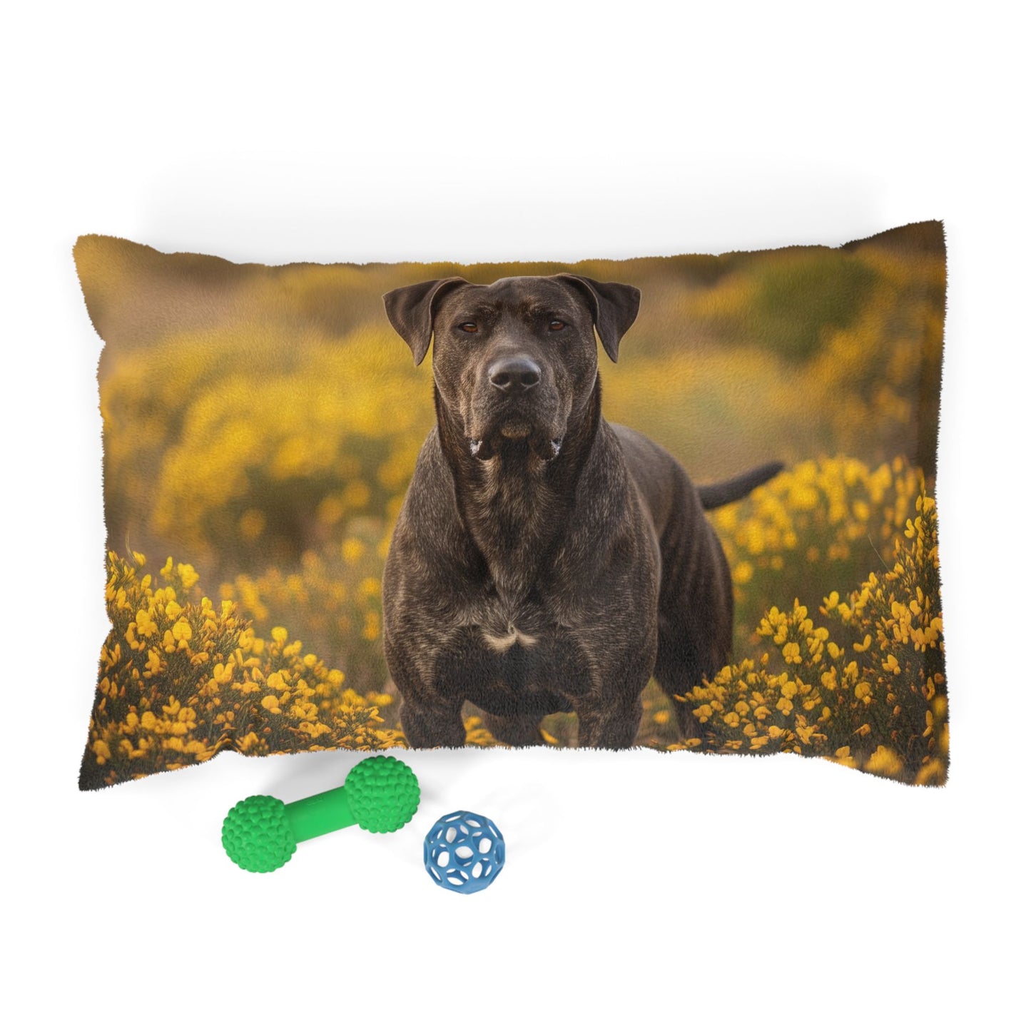 Rafeiro do Alentejo Pet Bed