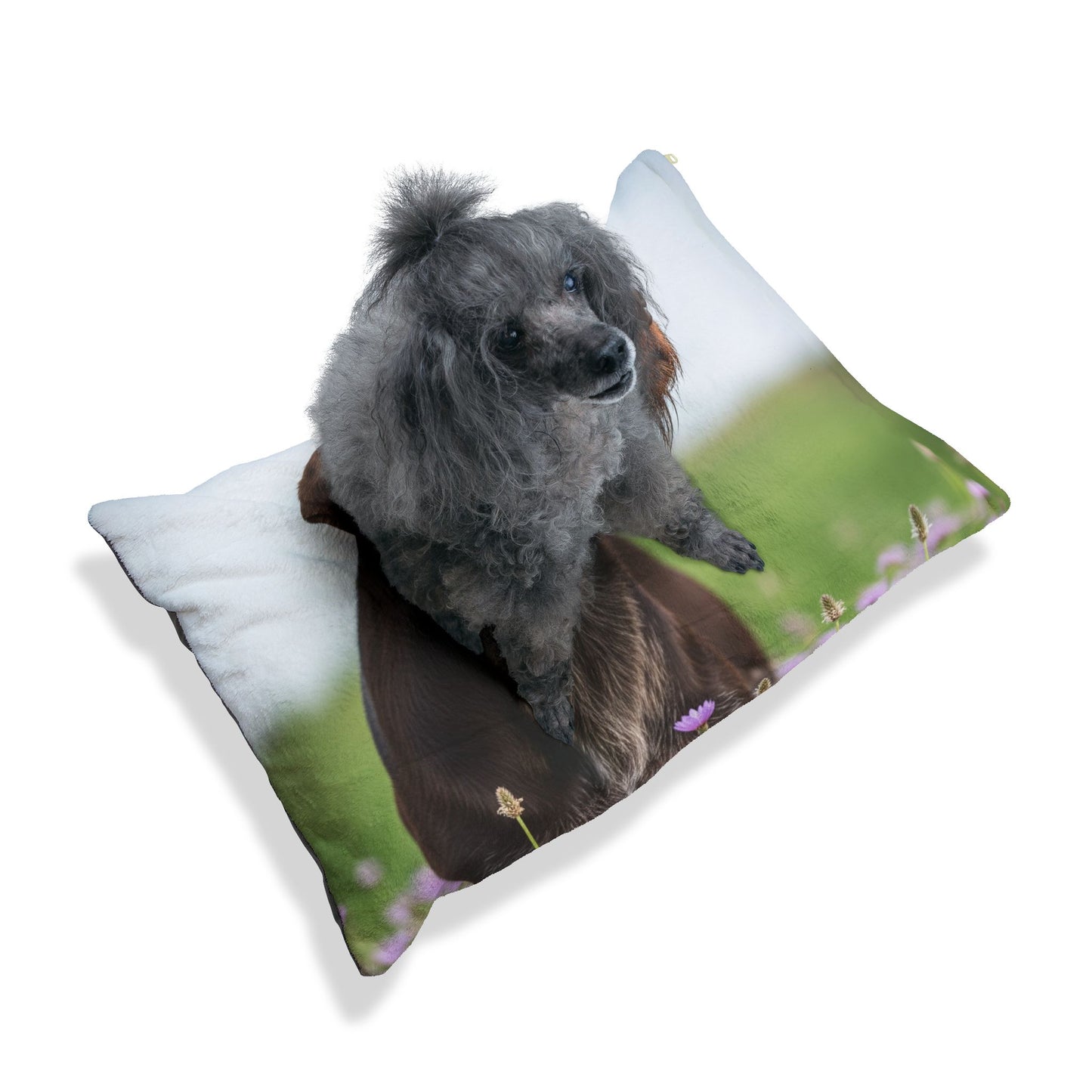 German Wirehaired Pointer Pet Bed
