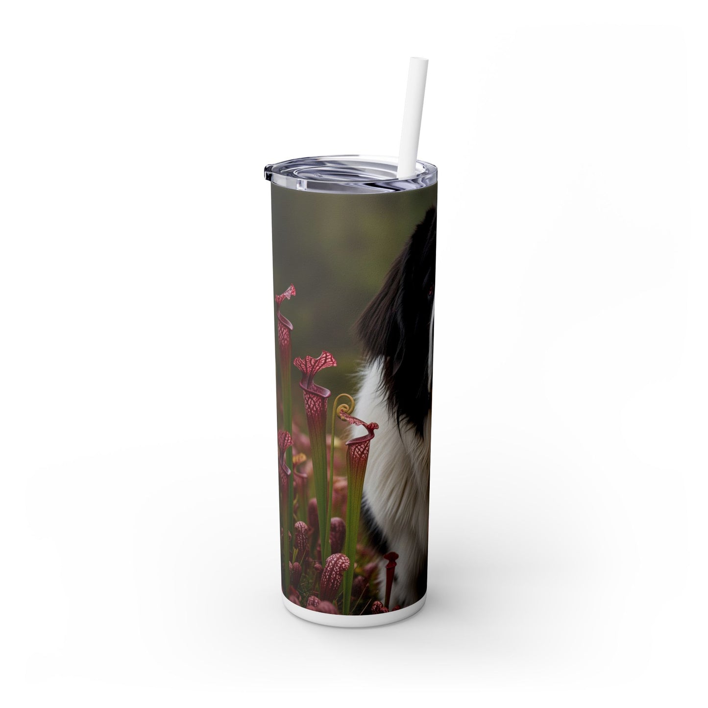 Landseer Tumbler with Straw, 20oz