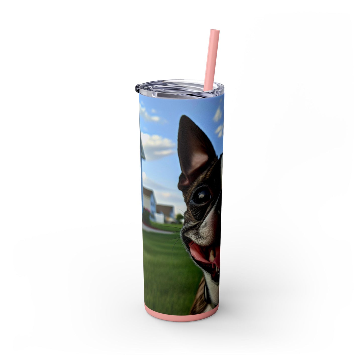 Boston Terrier Tumbler with Straw, 20oz