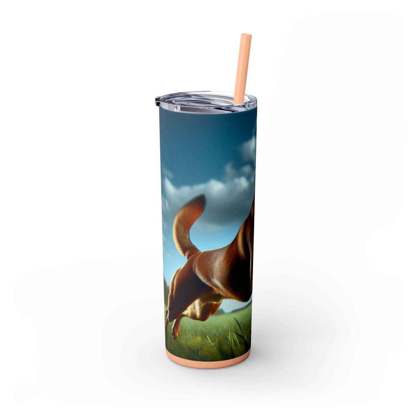 Kanni Tumbler with Straw, 20oz