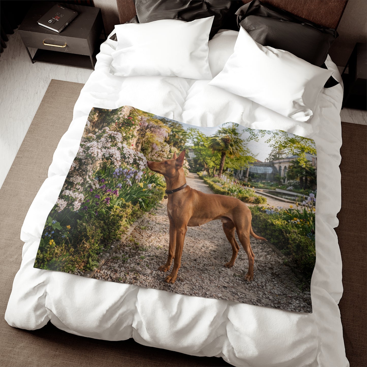 Cirneco dell'Etna Blanket