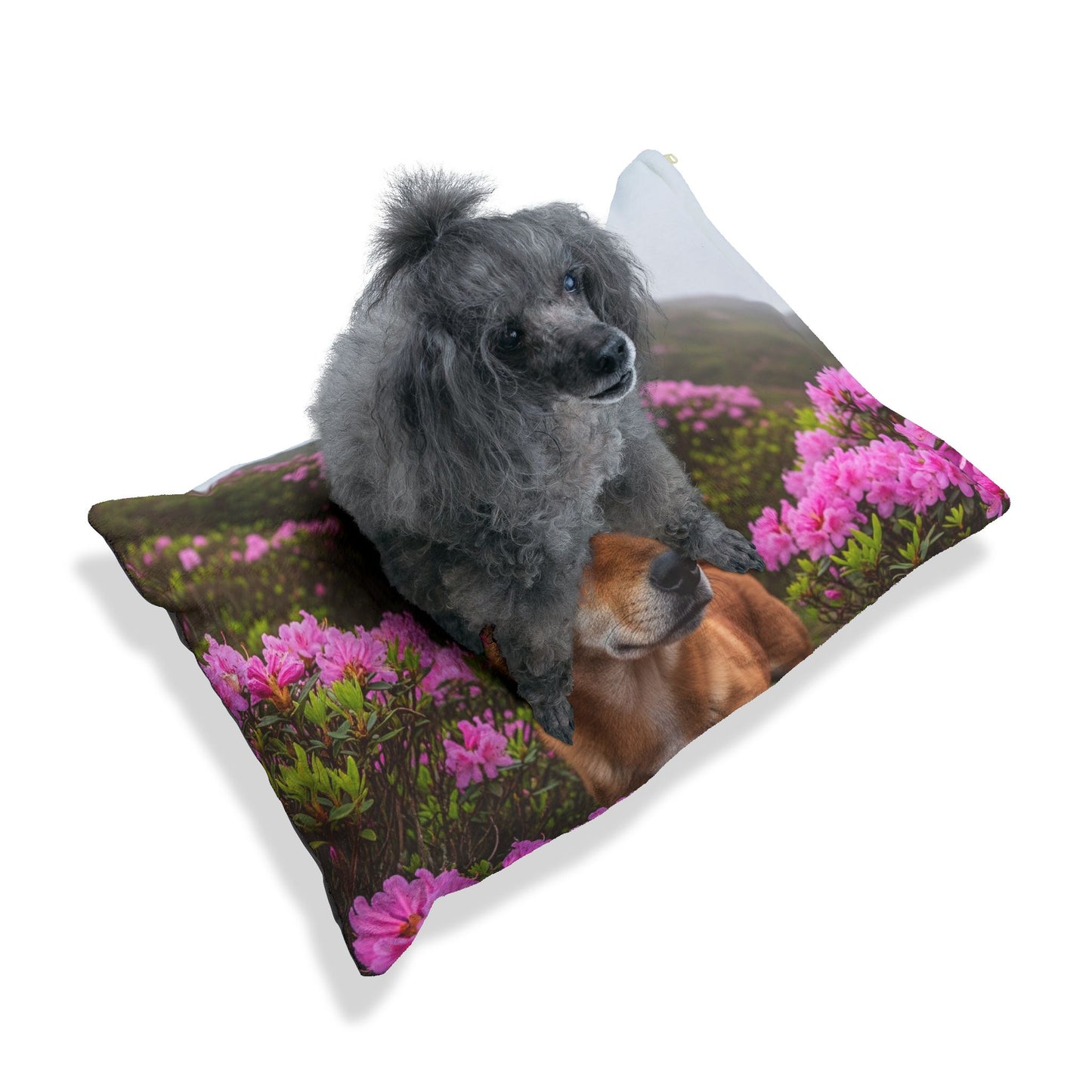 Taiwan Dog Pet Bed
