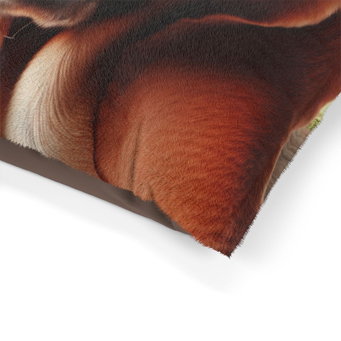 Basset Fauve de Bretagne Pet Bed
