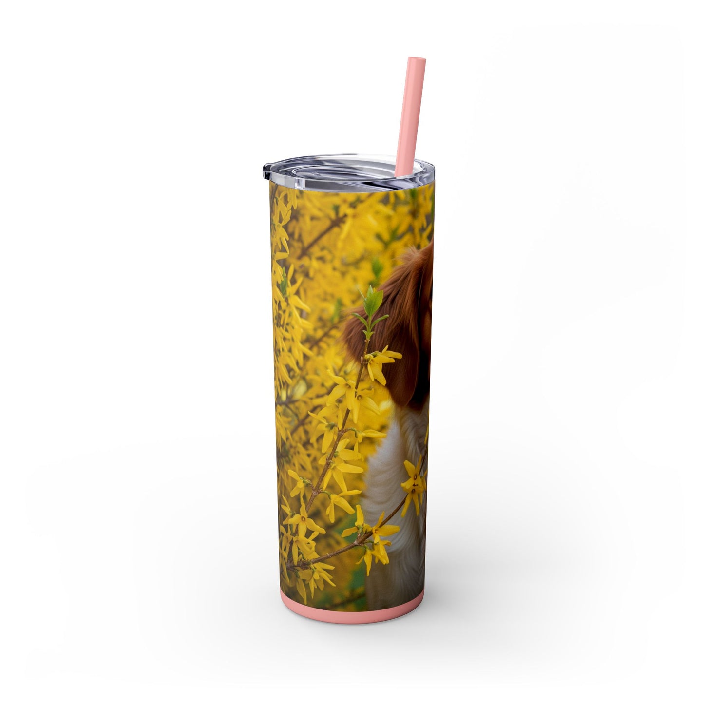 Brittany Dog Tumbler with Straw, 20oz