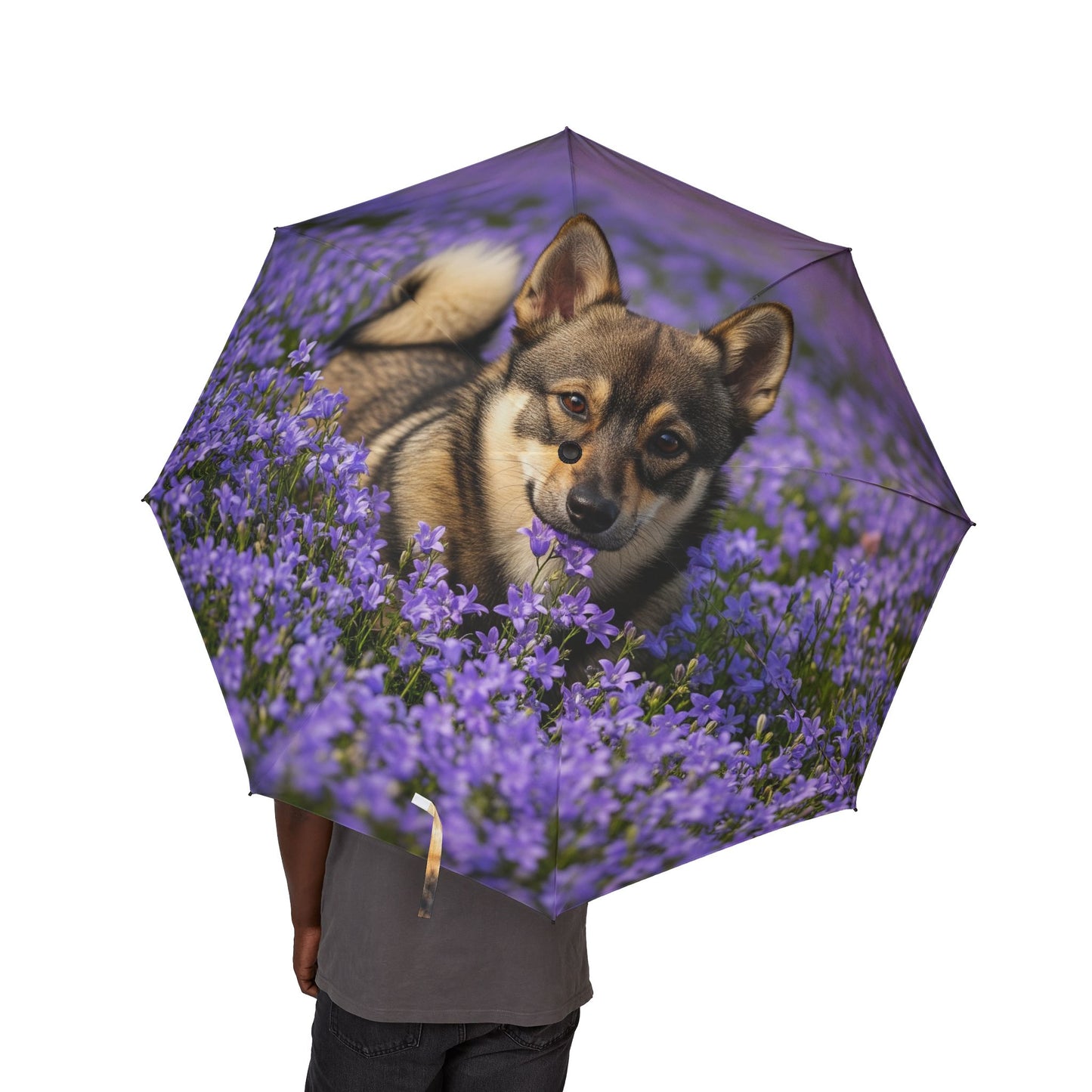 Swedish Vallhund Semi-Automatic Foldable Umbrella