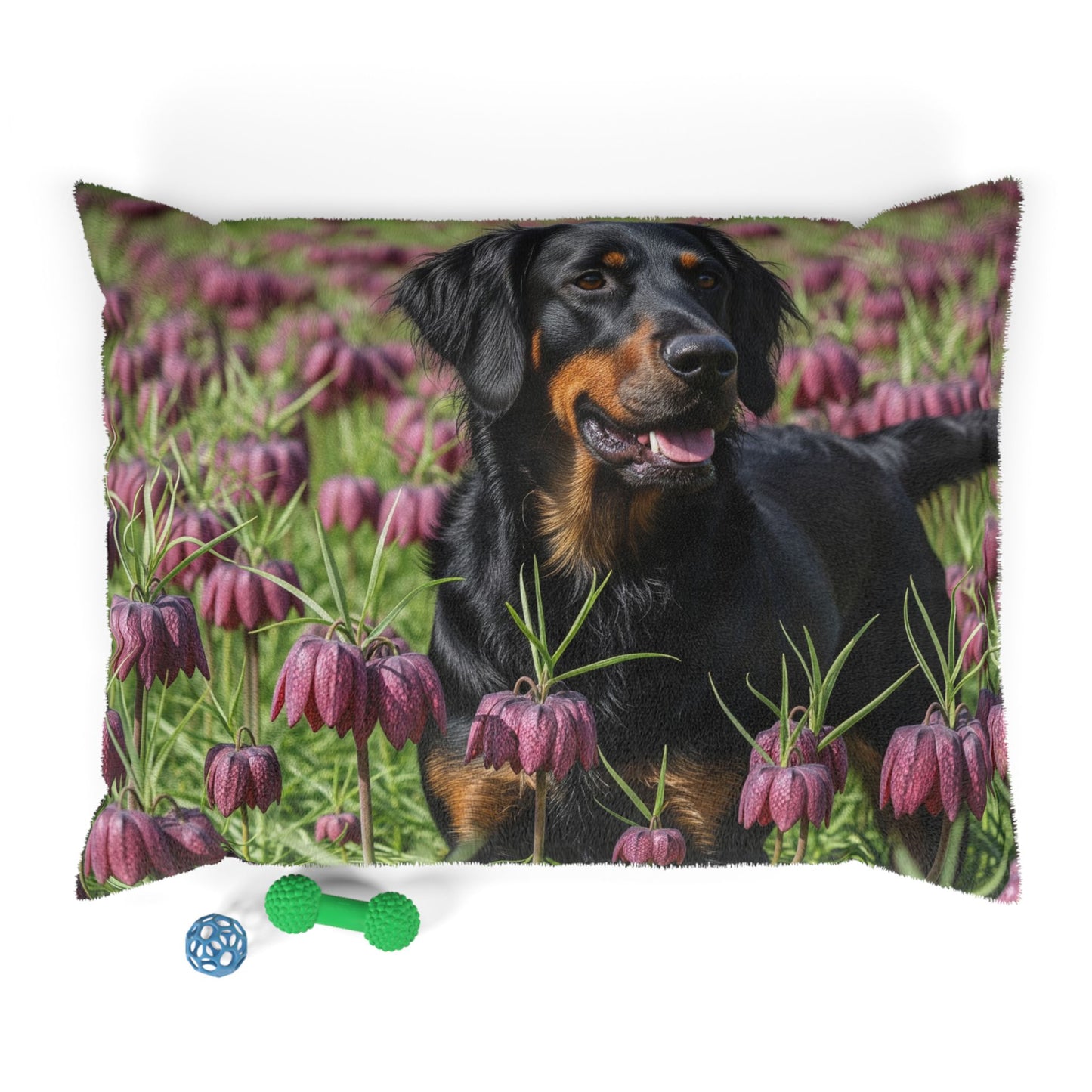 Wetterhoun Pet Bed
