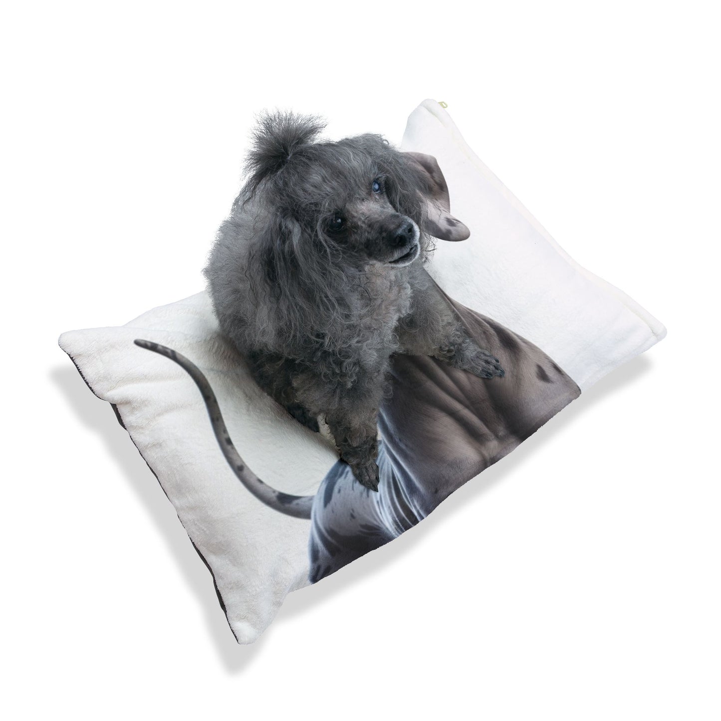 Great Dane Pet Bed