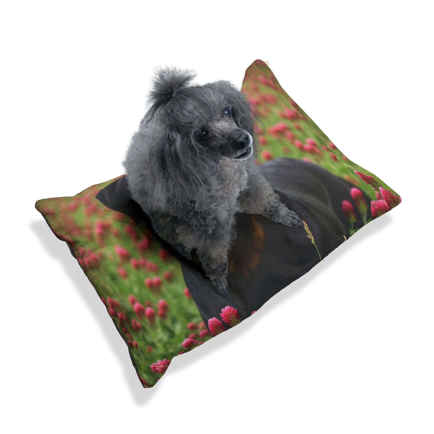 Rottweiler Pet Bed