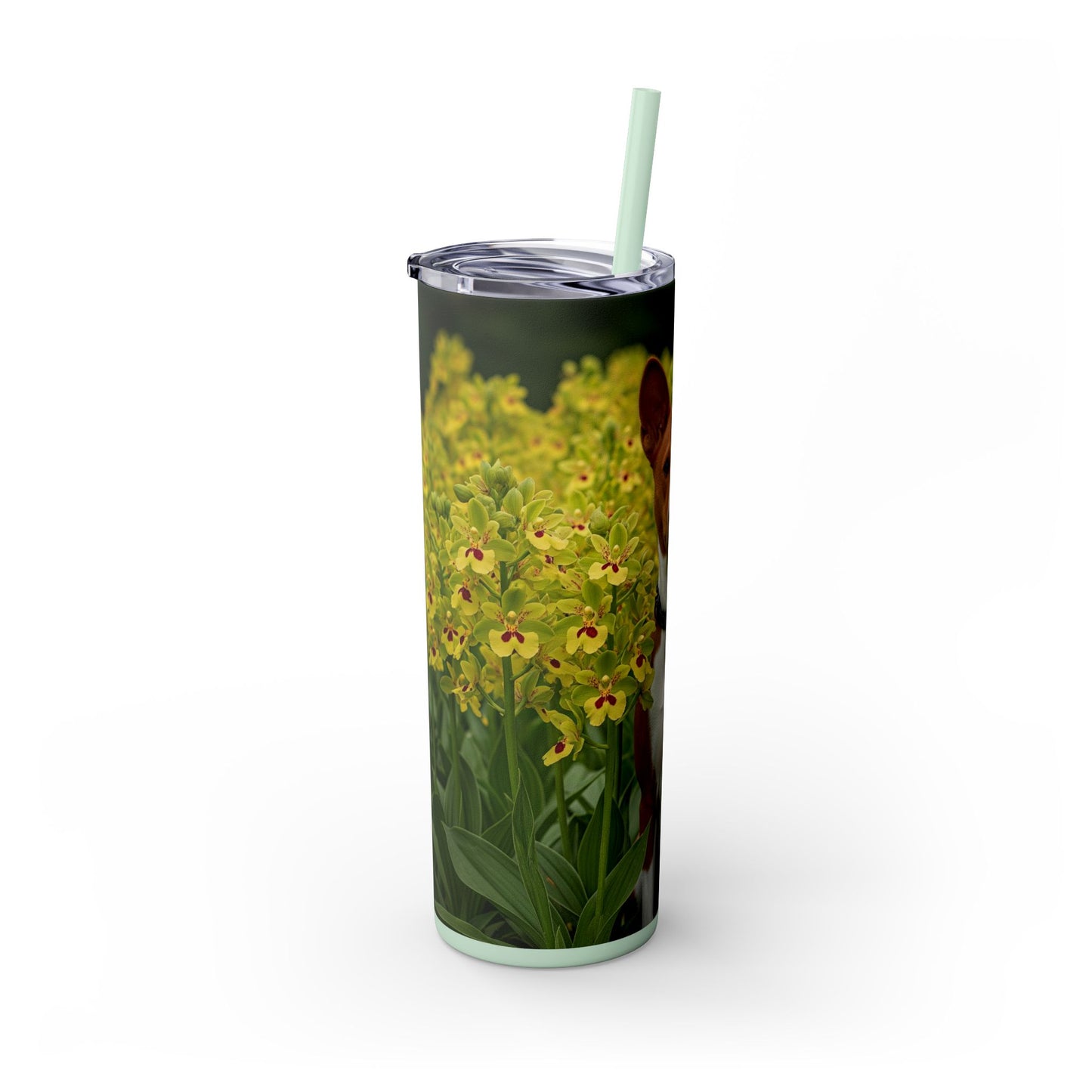 Basenji Skinny Tumbler with Straw, 20oz