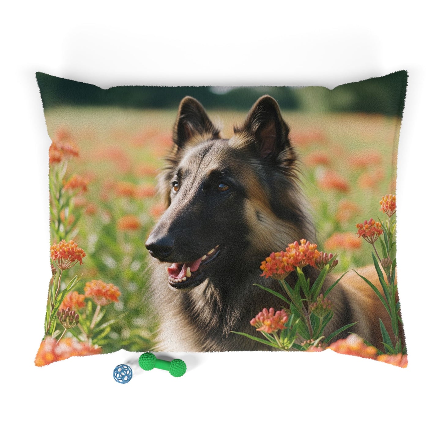 Belgian Tervuren Pet Bed
