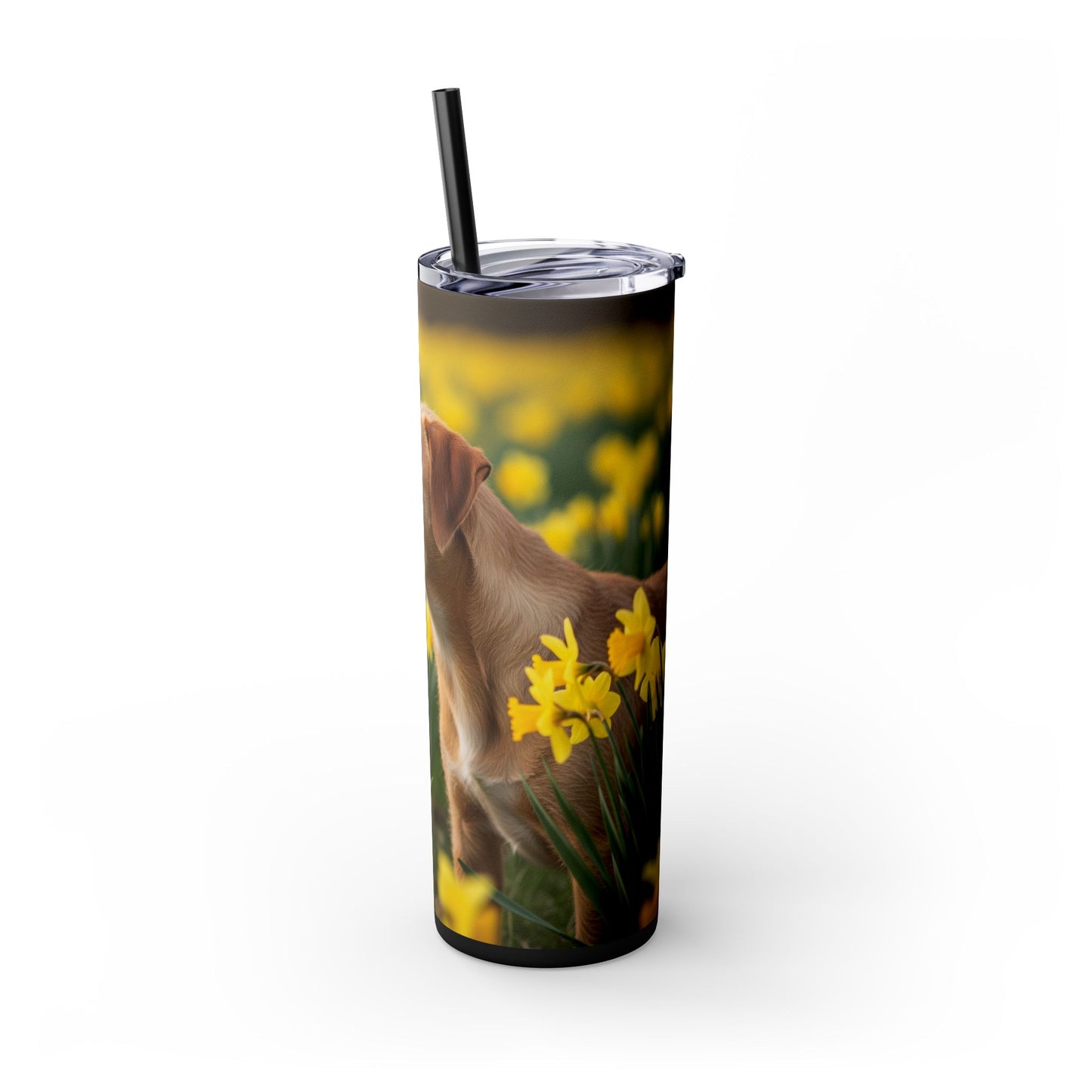 Portuguese Podengo Pequeno Skinny Tumbler with Straw, 20oz