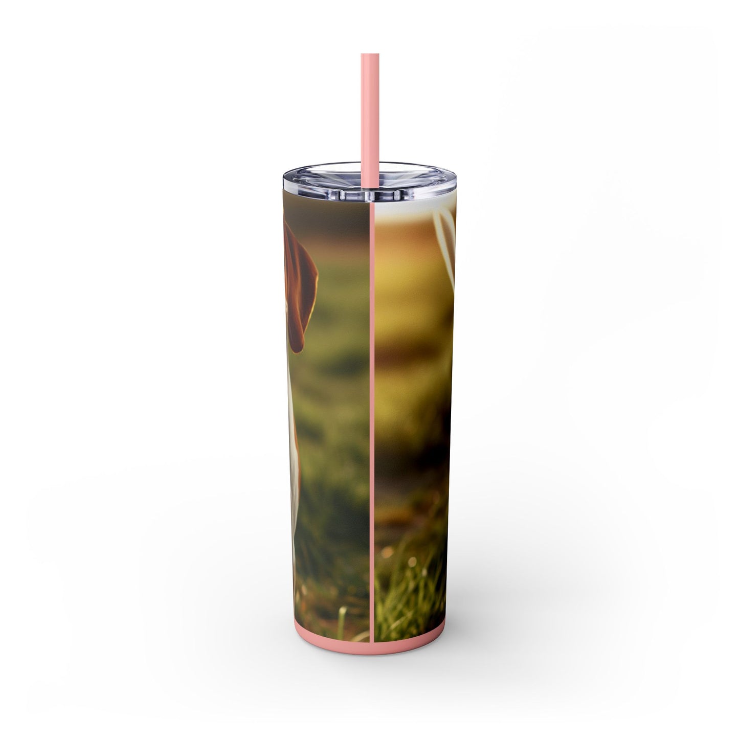 Bracco Italiano Tumbler with Straw, 20oz