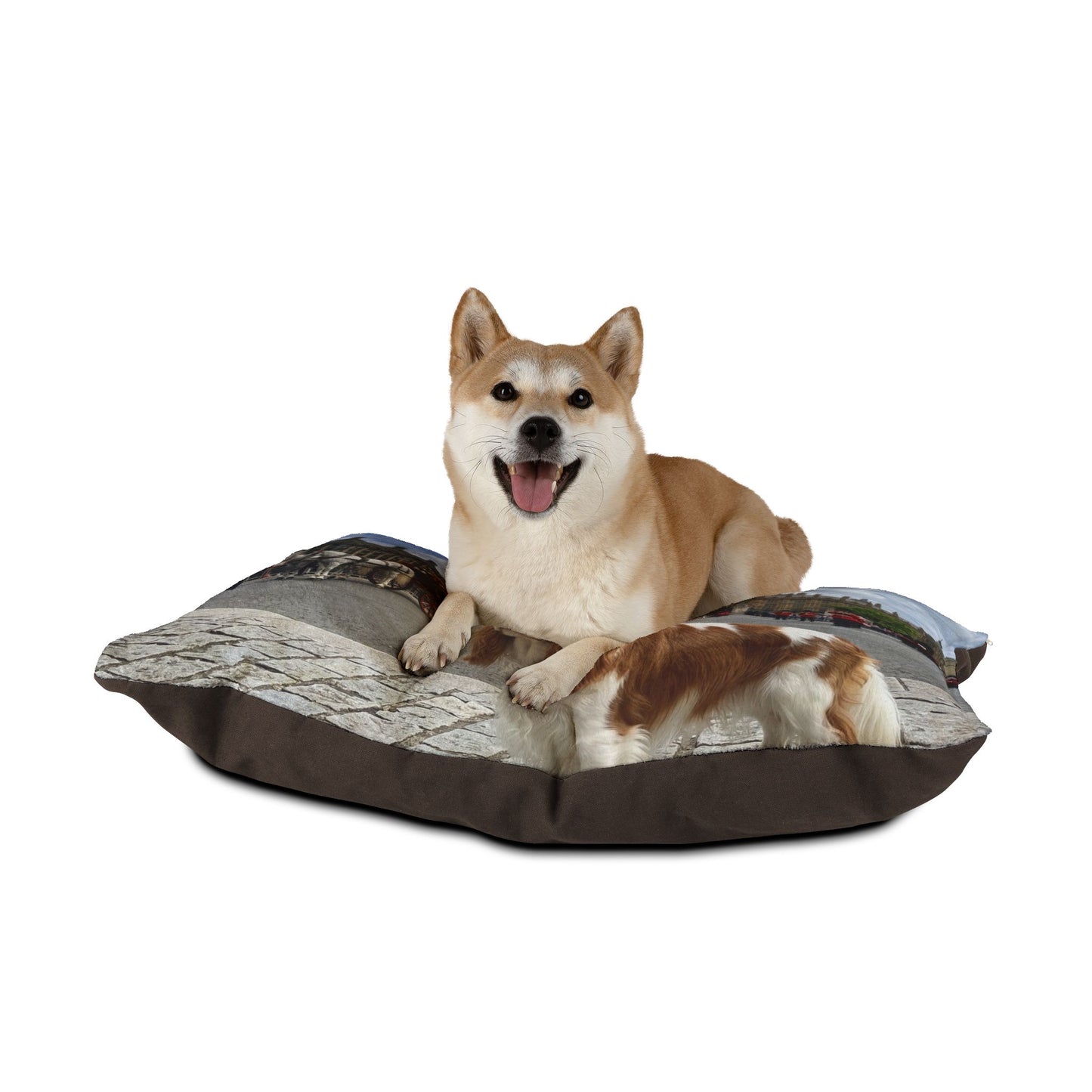 Cavalier King Charles Pet Bed
