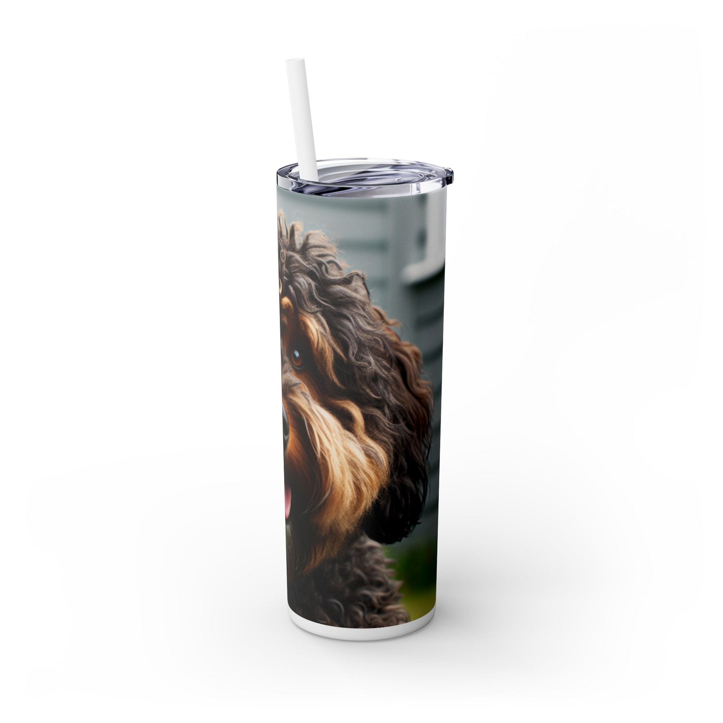 Barbet Tumbler with Straw, 20oz