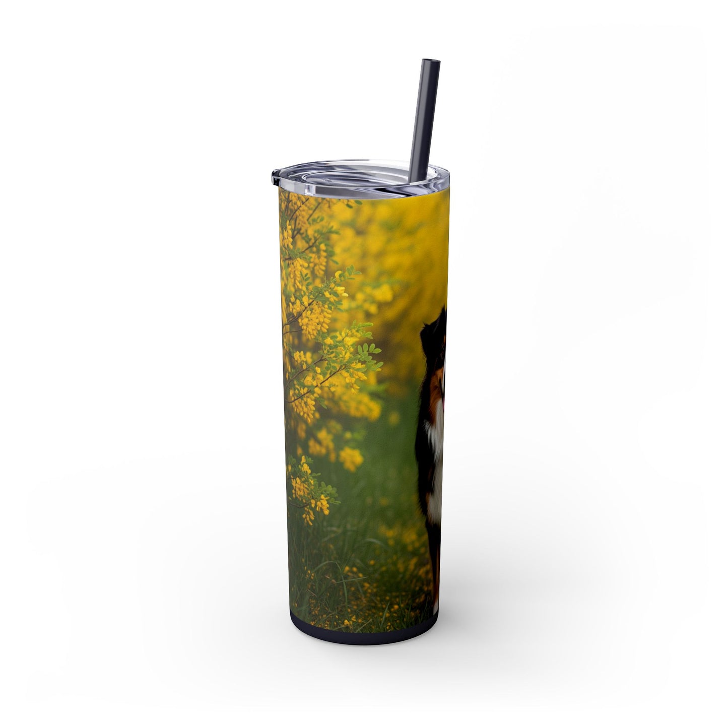 Australian Shepherd Skinny Tumbler with Straw, 20oz