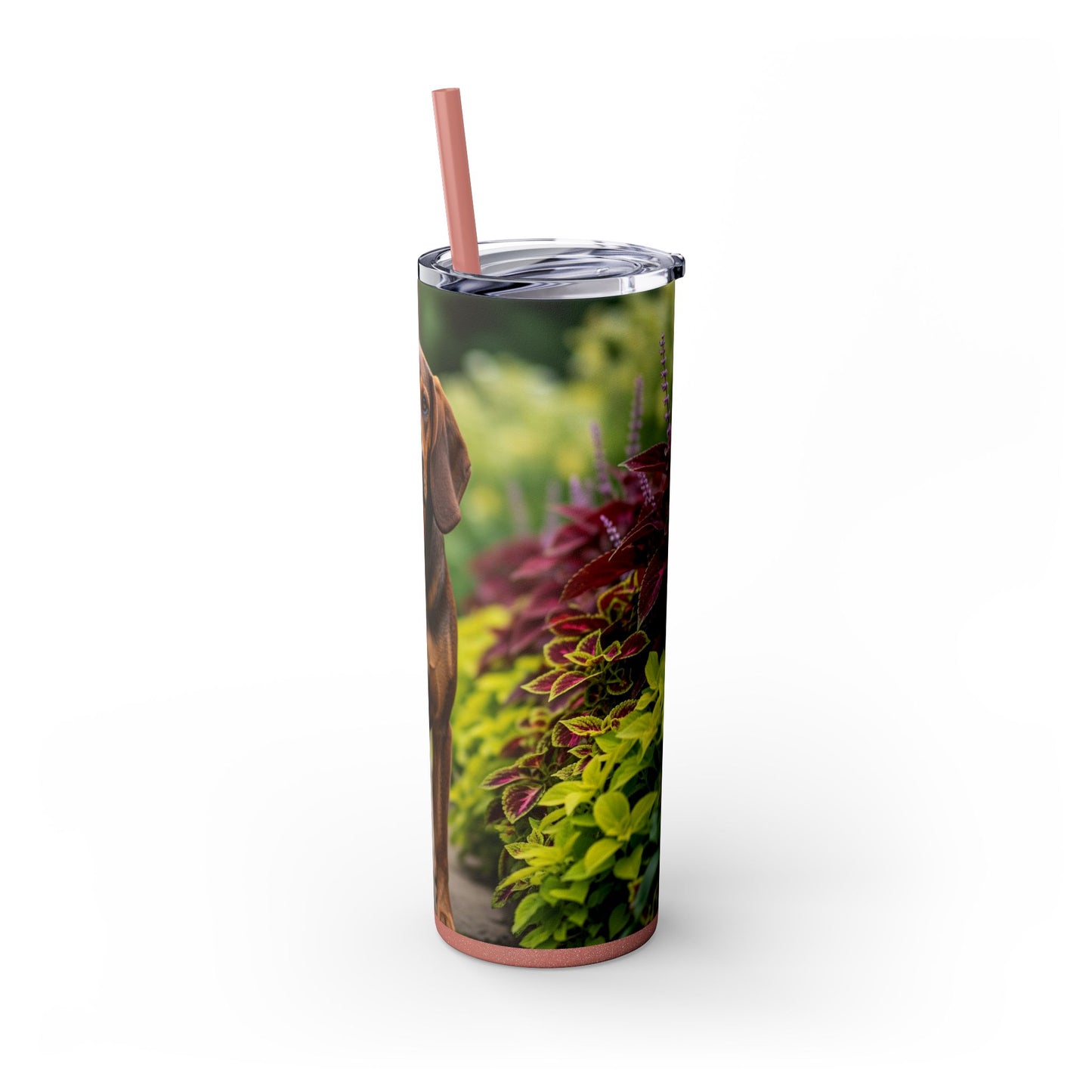 Hamiltonstovare Tumbler with Straw, 20oz
