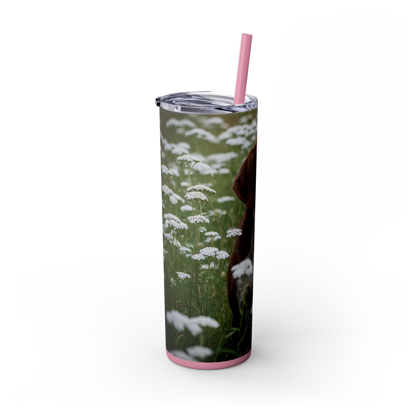Braque du Bourbonnais Tumbler with Straw, 20oz