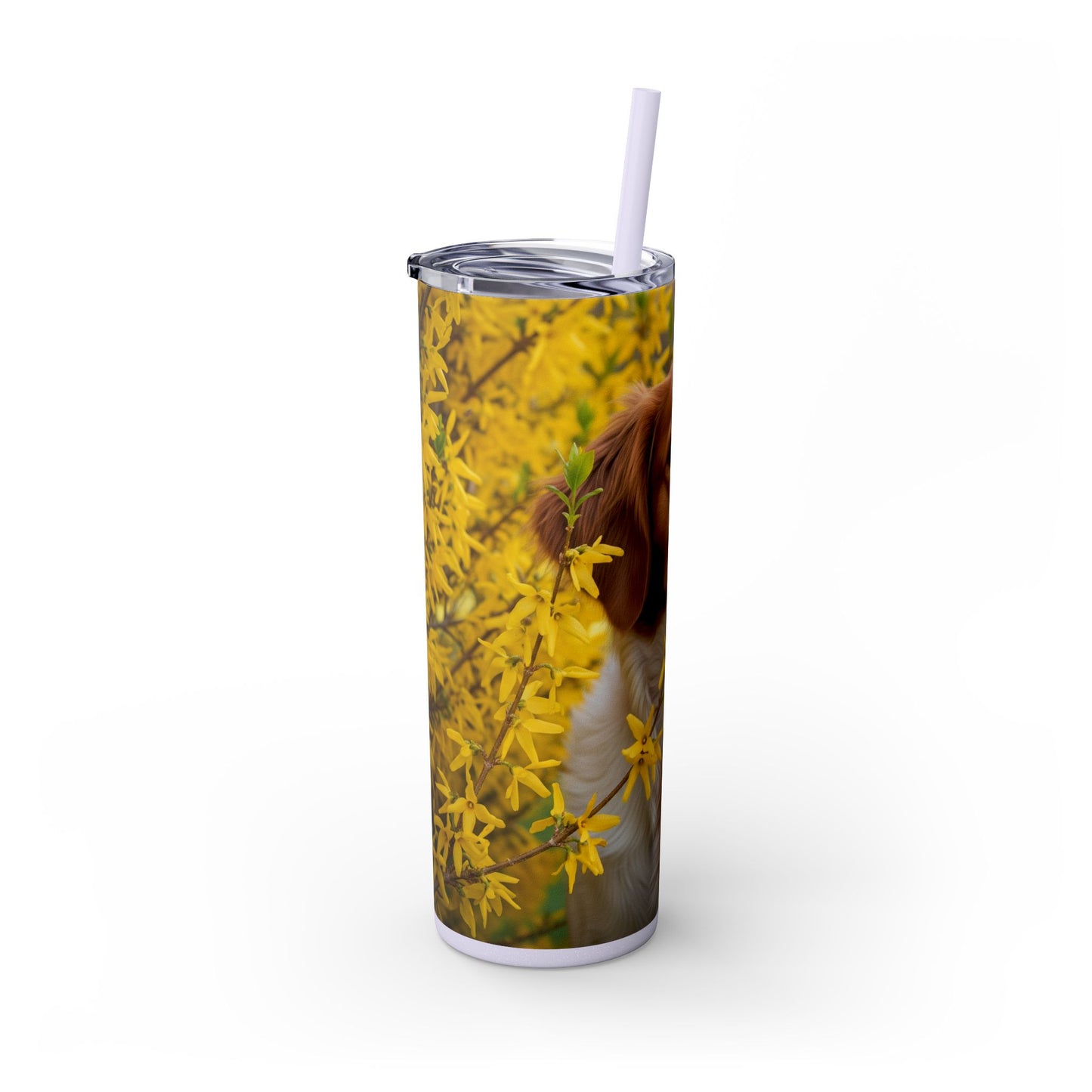 Brittany Dog Tumbler with Straw, 20oz